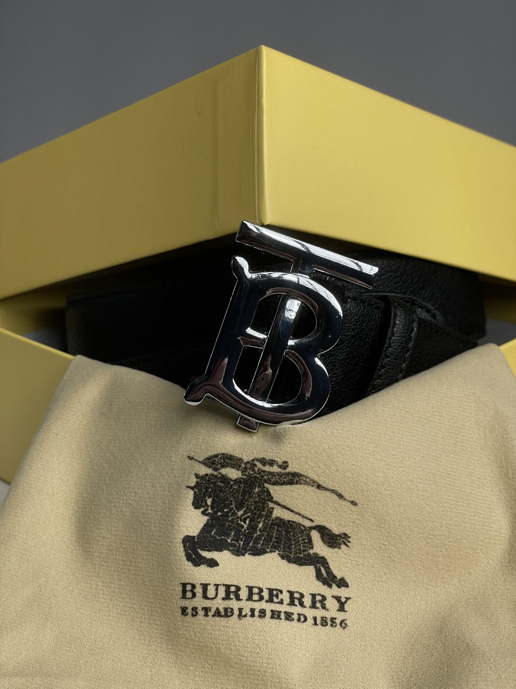 Burberry Leather TB Belt Black/Tan/Silver - 6