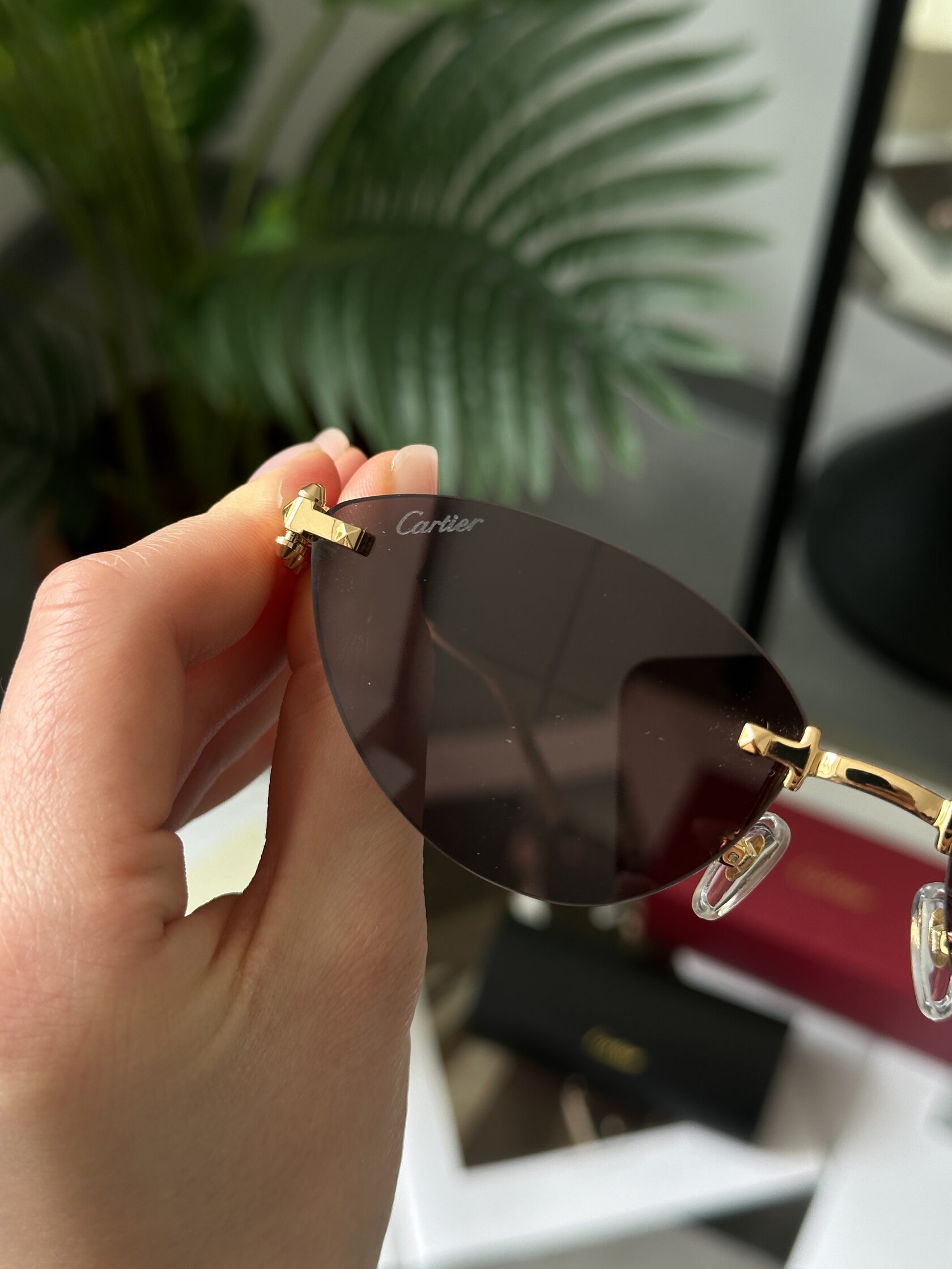 Cartier Clash Brown/Gold CT0543S 001L cat.2 - 10