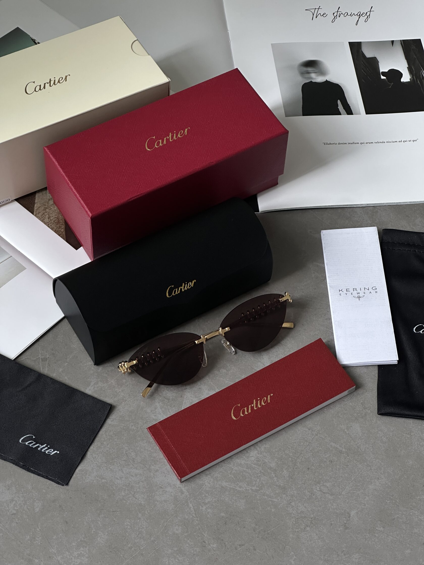 Cartier Clash Brown/Gold CT0543S 001L cat.2 - 3