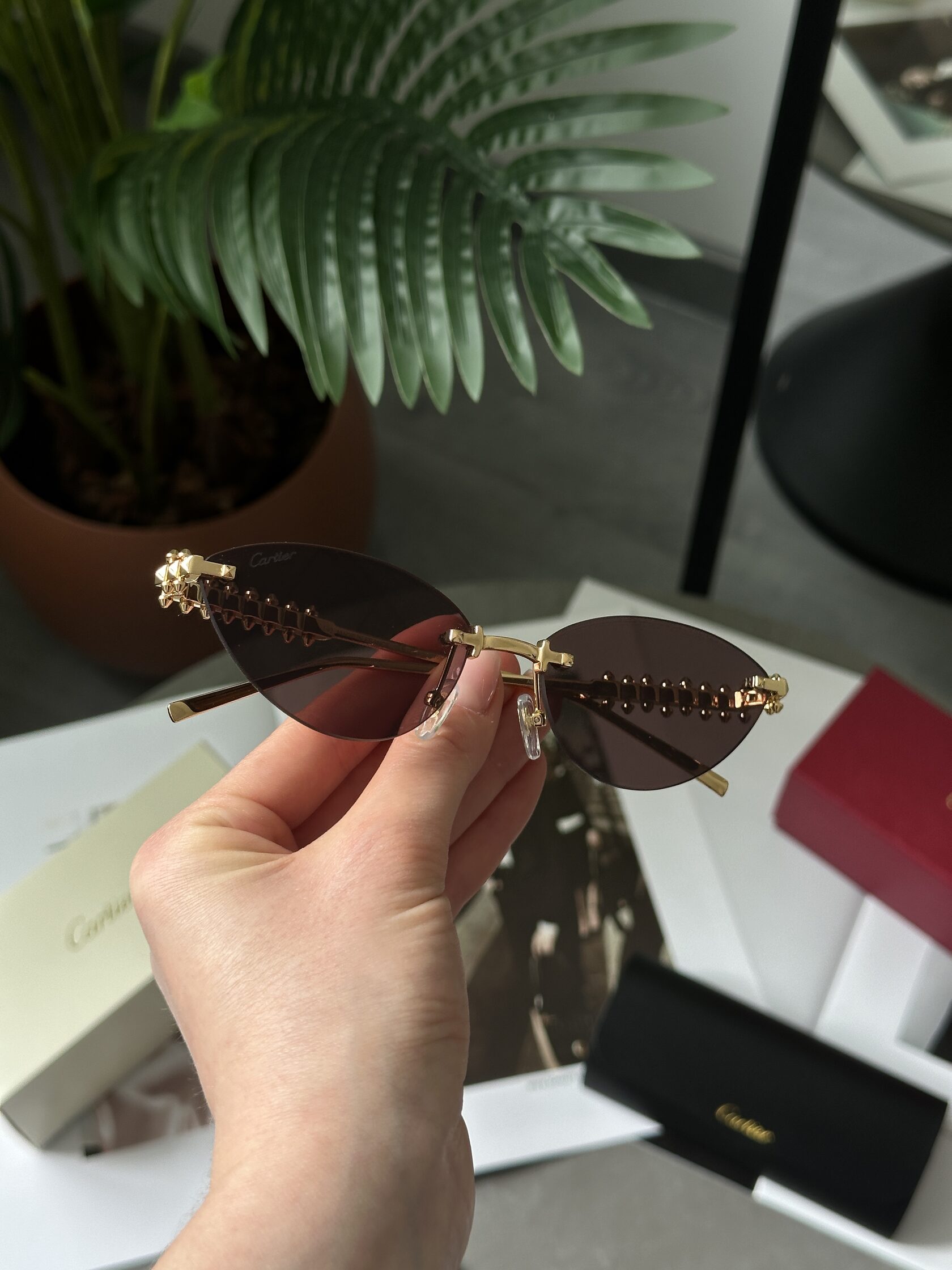 Cartier Clash Brown/Gold CT0543S 001L cat.2 - 6