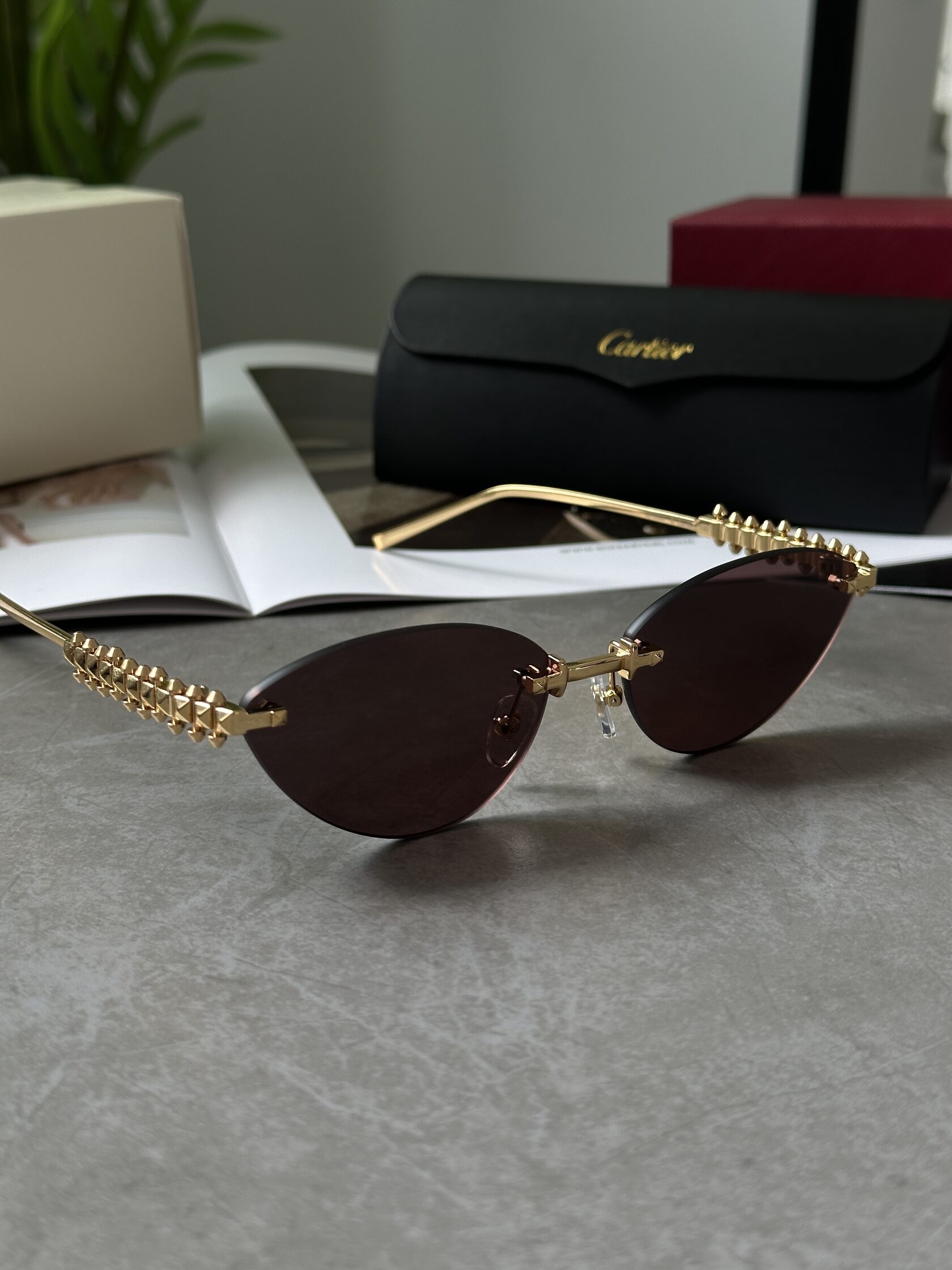 Cartier Clash Brown/Gold CT0543S 001L cat.2 - 8