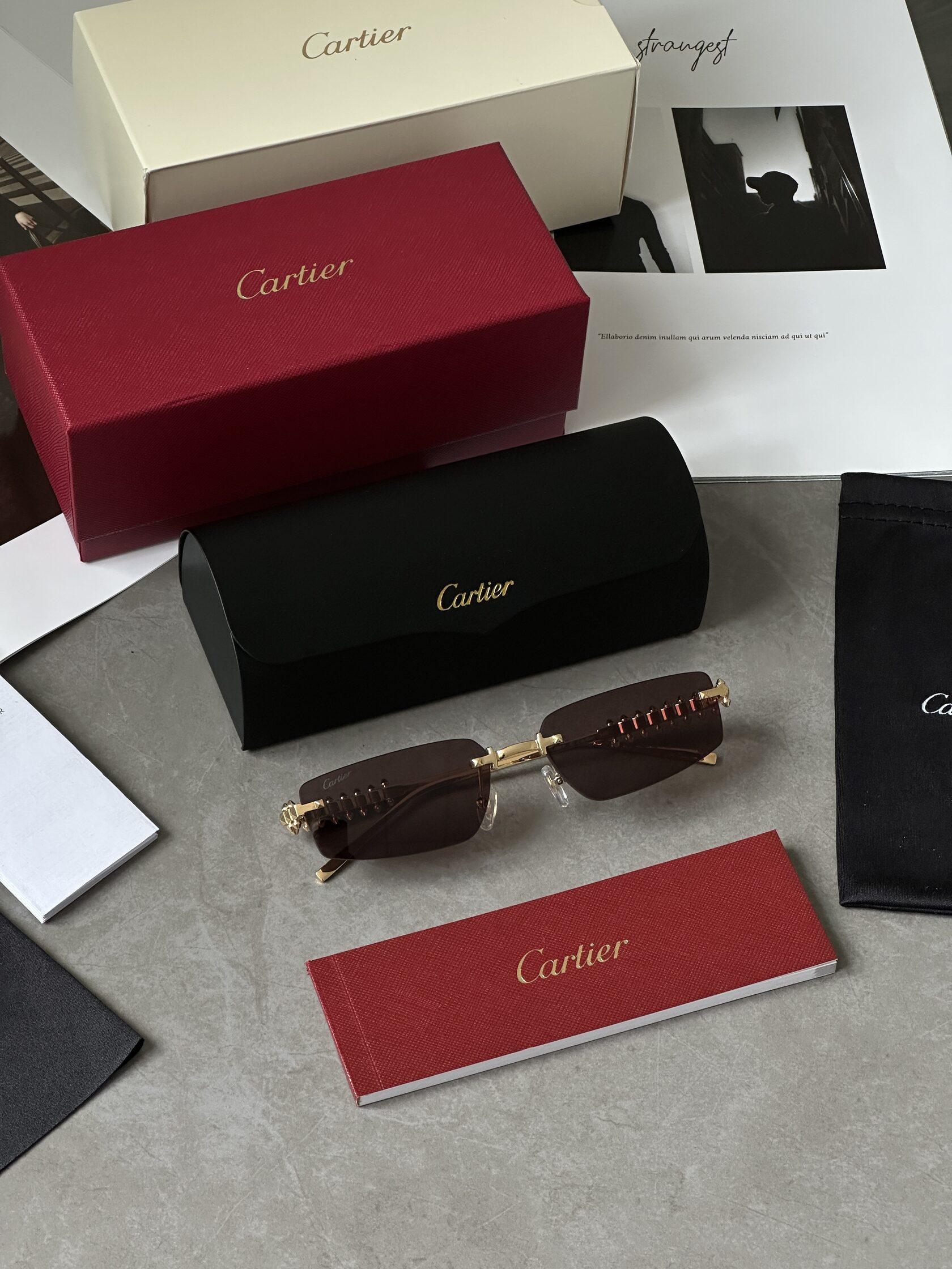 Cartier Clash Brown/Gold CT0545S 001 L - 3