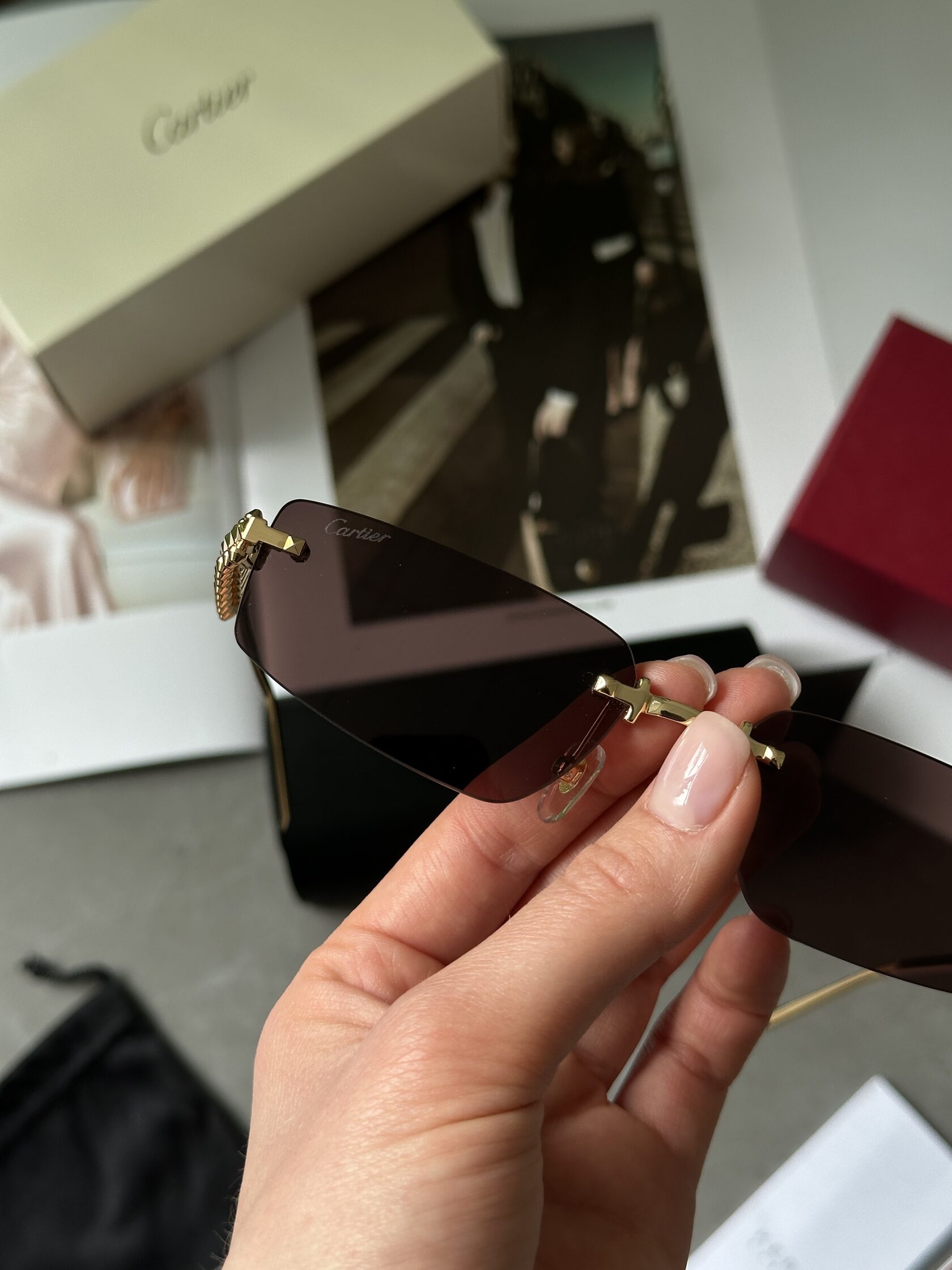 Cartier Clash Pink/Gold CT0544S 001 L Cat.2 - 8