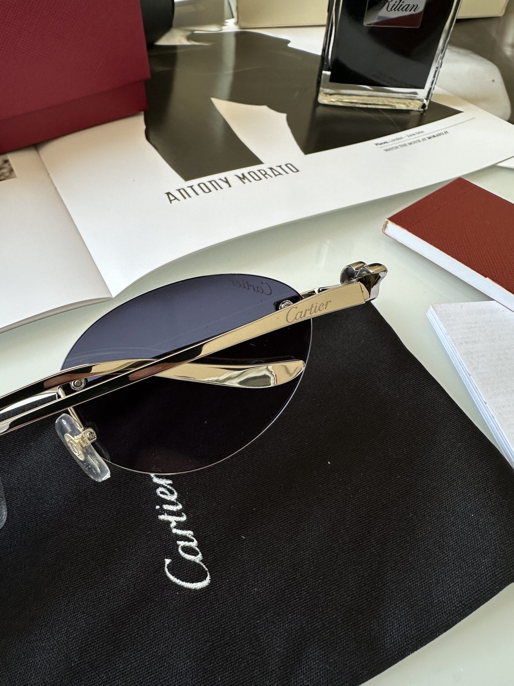 Cartier Panthère Blue/Silver CT0504S - 10