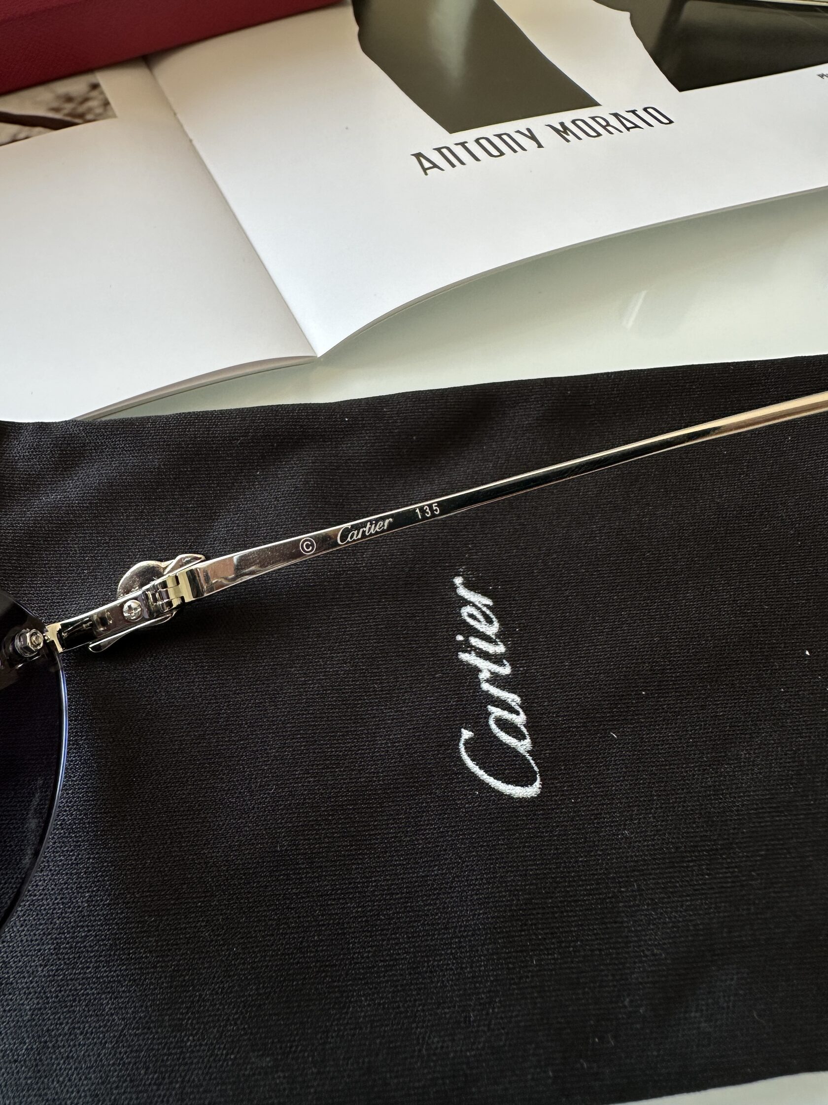 Cartier Panthère Blue/Silver CT0504S - 11