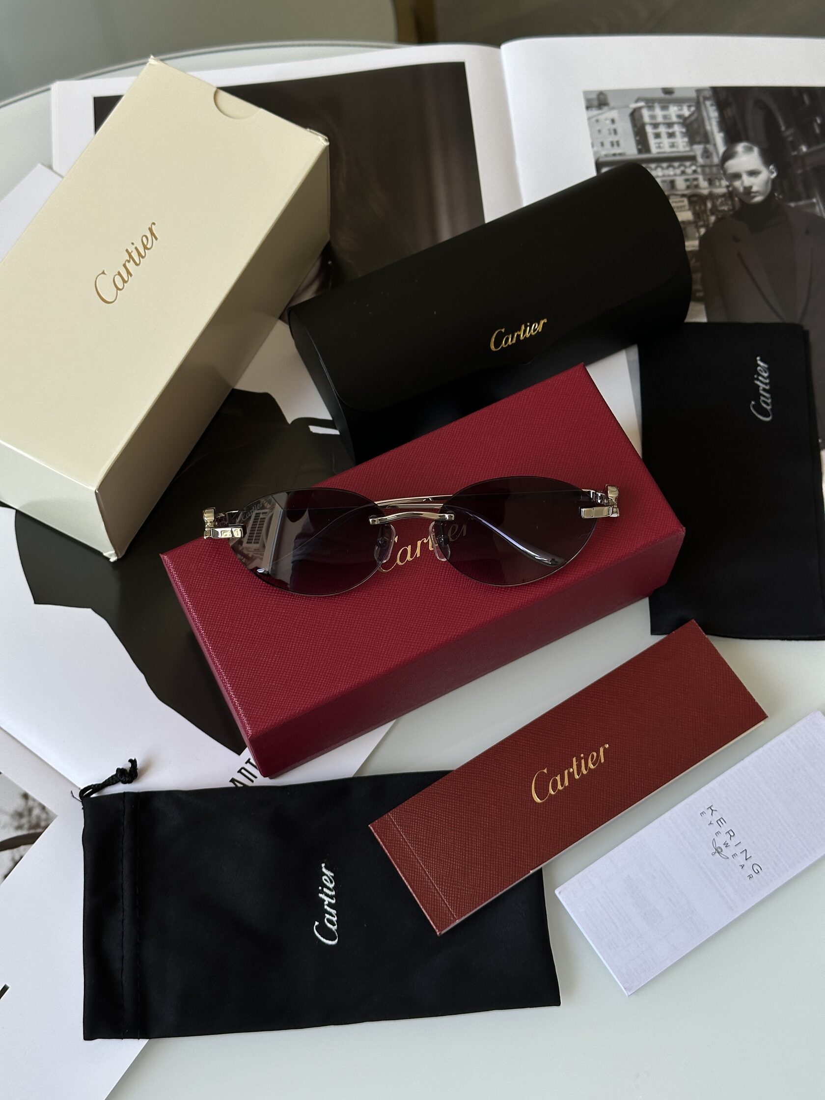 Cartier Panthère Blue/Silver CT0504S - 2