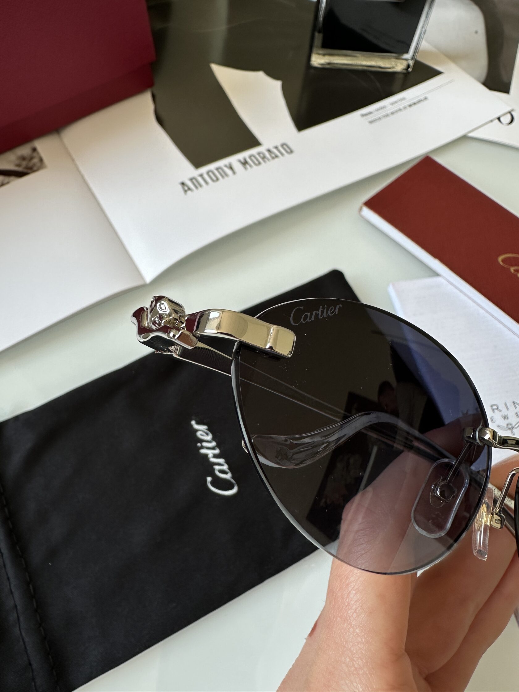 Cartier Panthère Blue/Silver CT0504S - 7