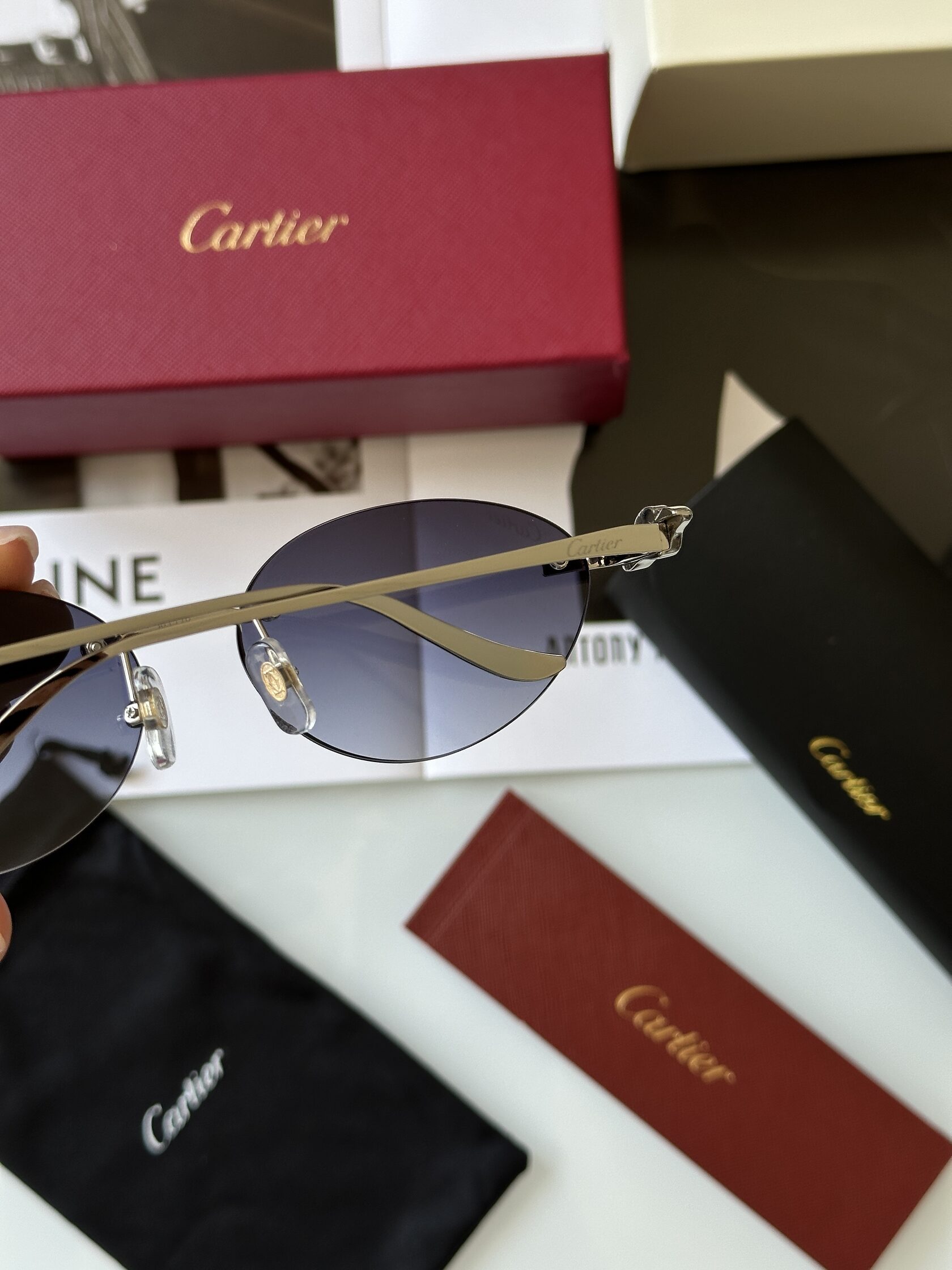 Cartier Panthère Blue/Silver CT0504S - 8