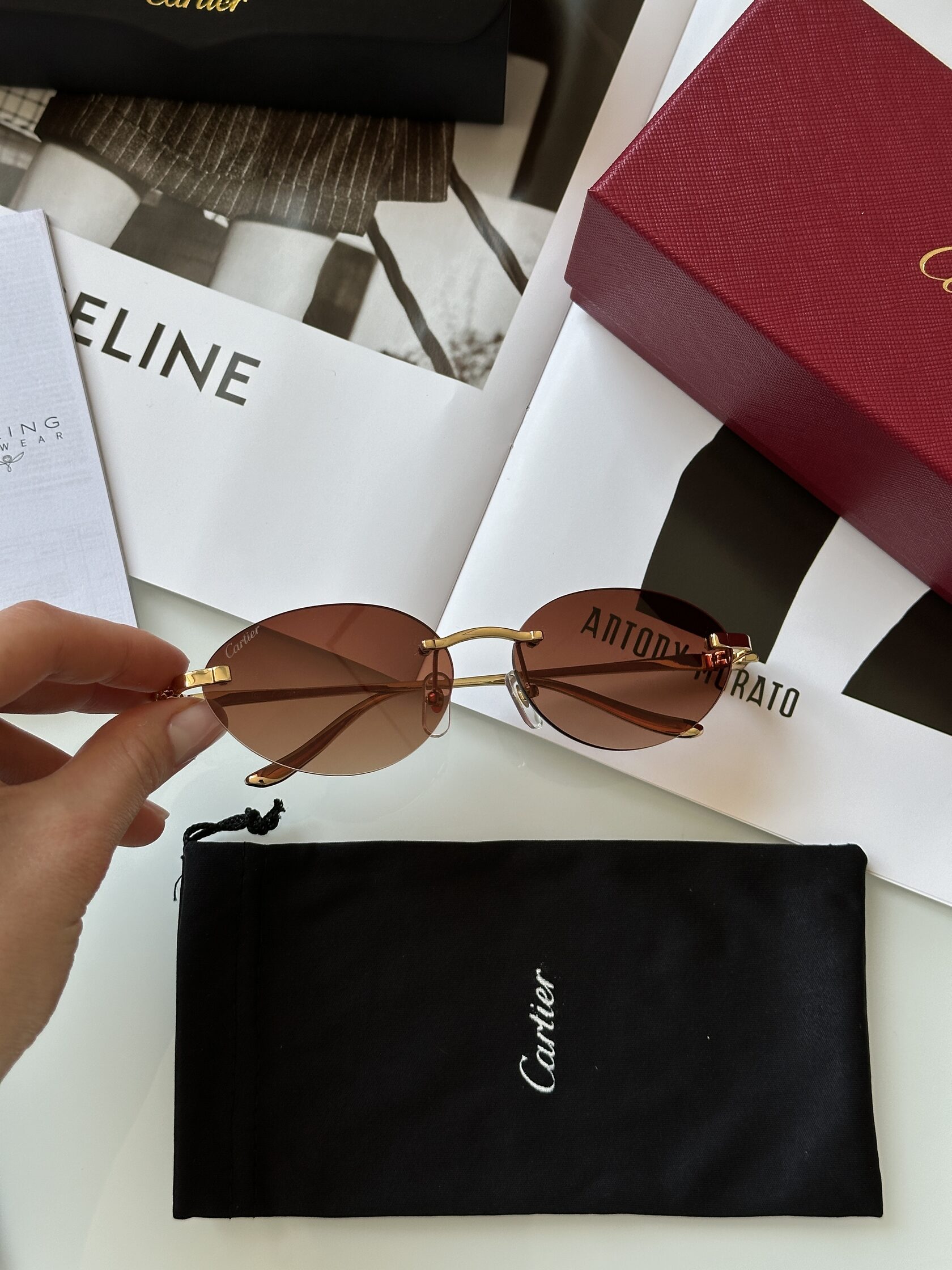 Cartier Panthère Brown/Gold CT0504S - 6