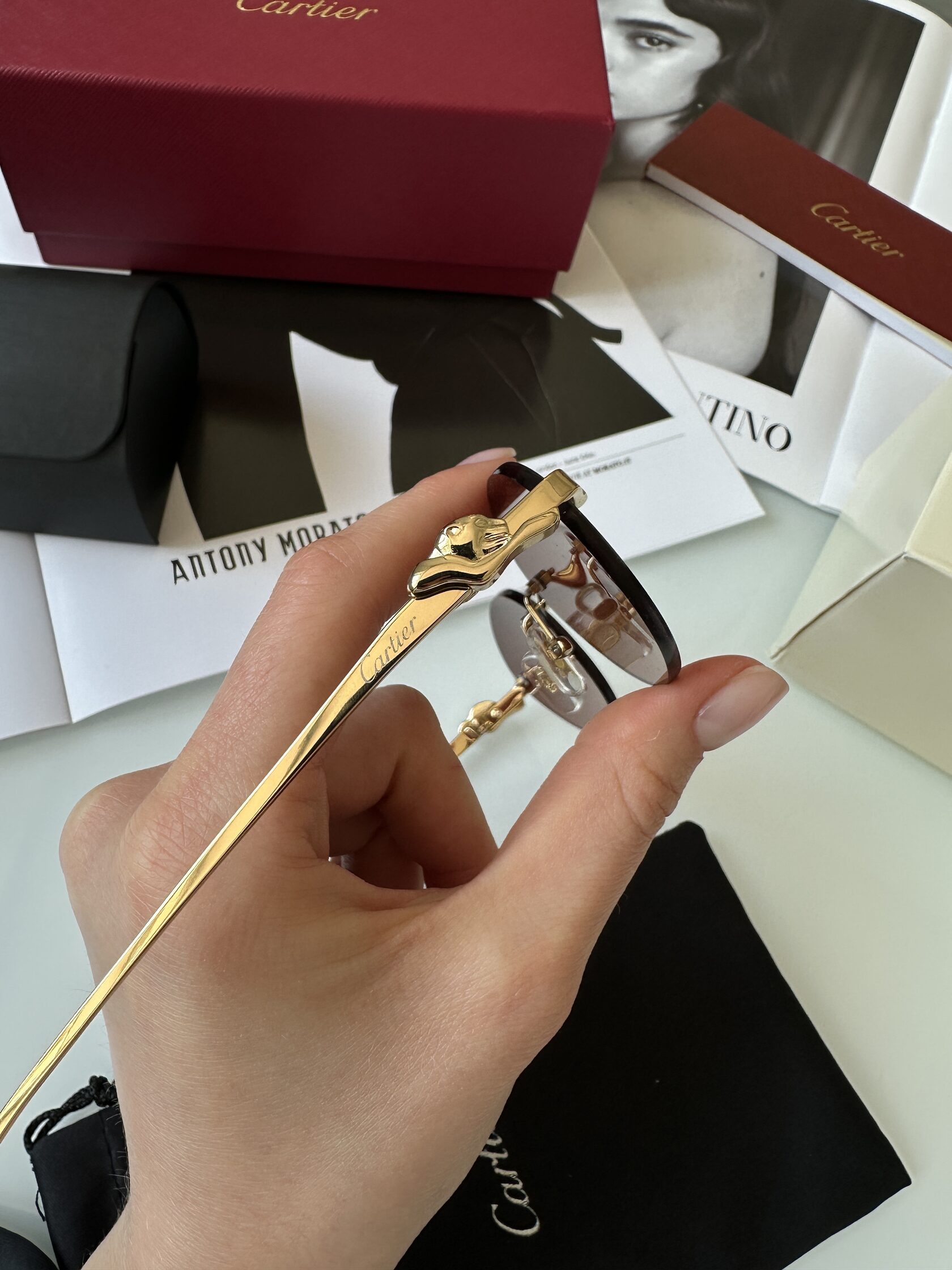 Cartier Panthère Brown/Gold CT0504S - 9