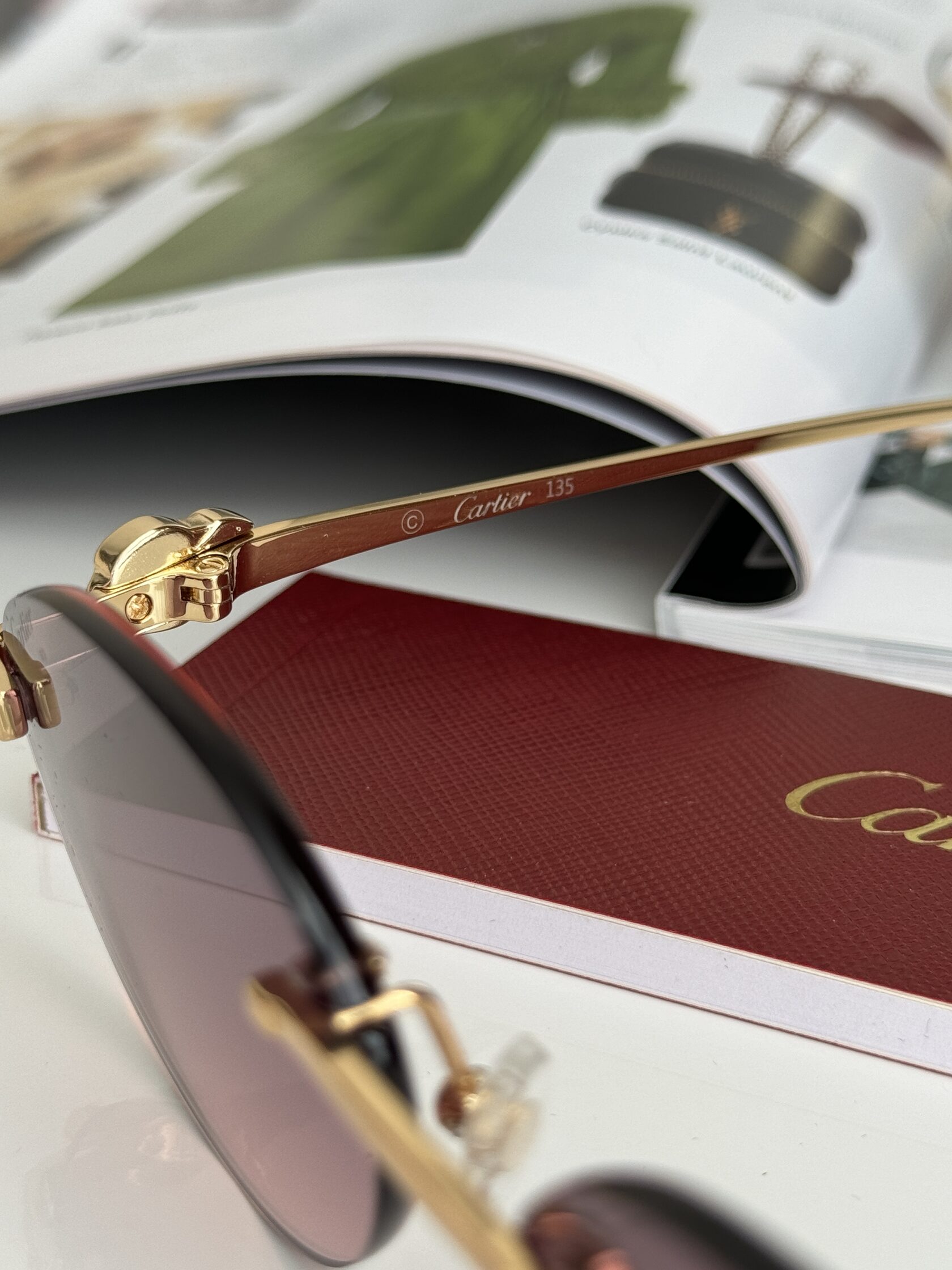 Cartier Panthère Pink/Gold CT0504S - 9