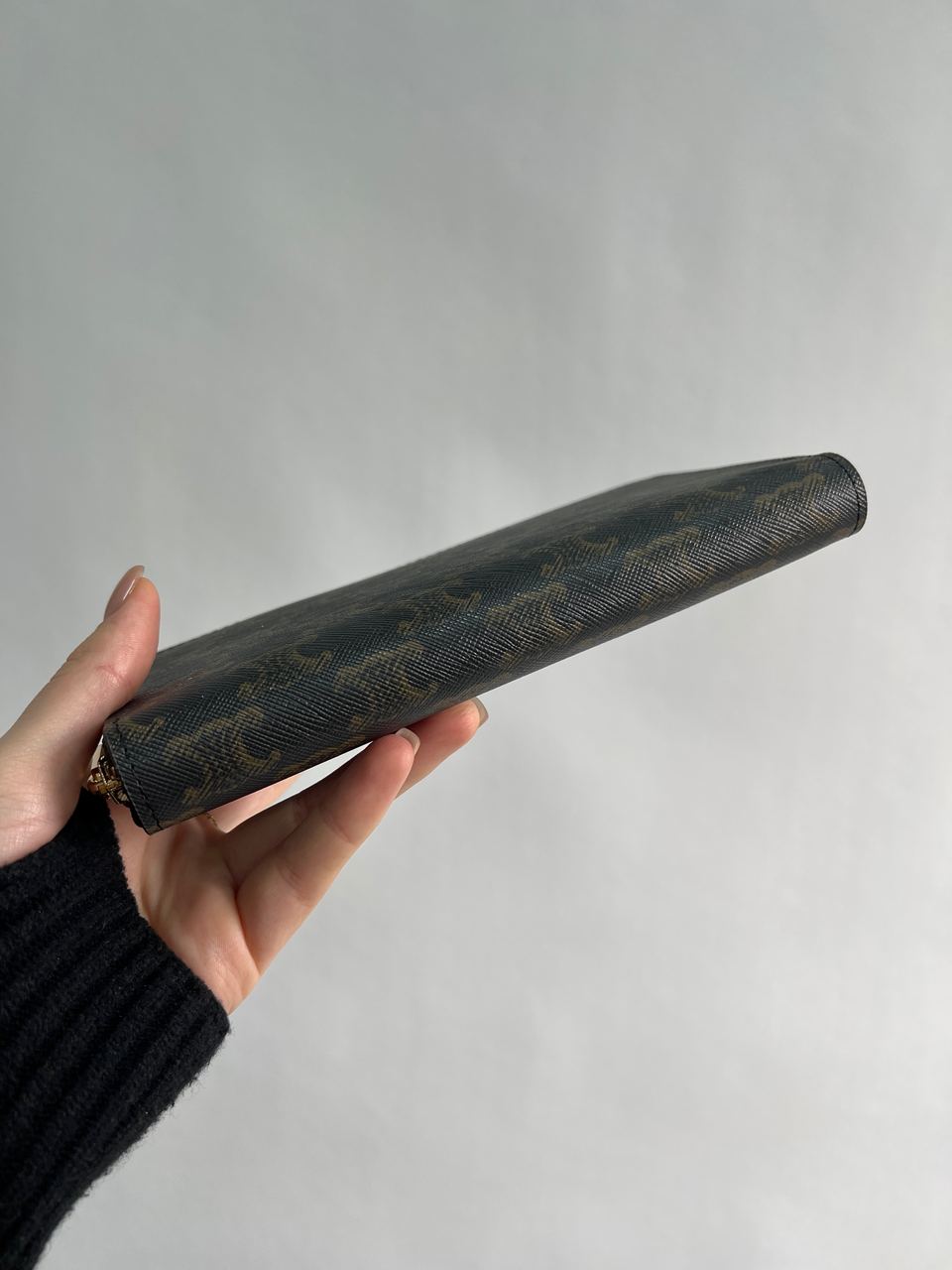 Celine Large Zipped Wallet in Triomphe Canvas Brown - 11