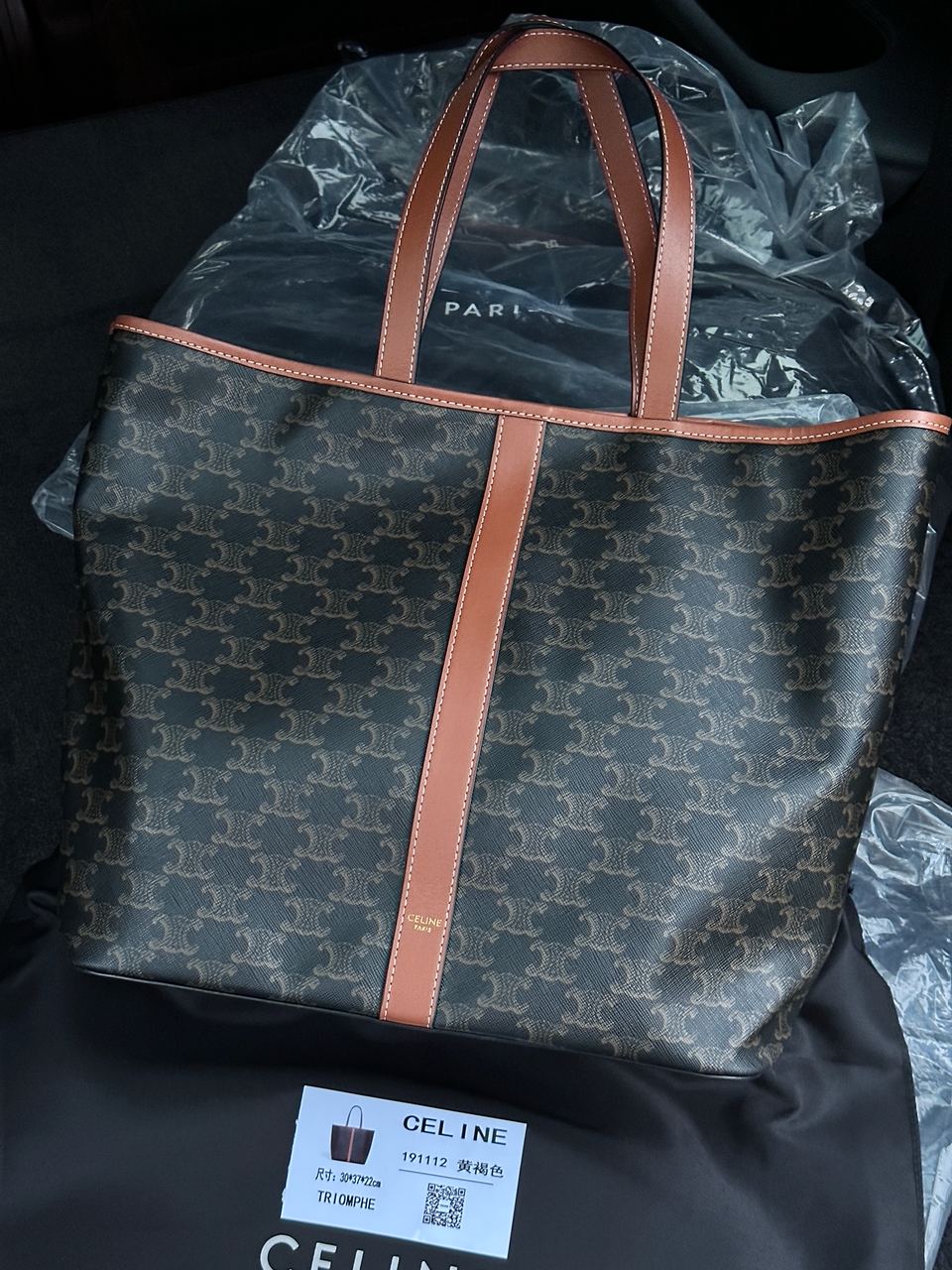 Celine Medium Cabas In Triomphe Canvas Tan - 10