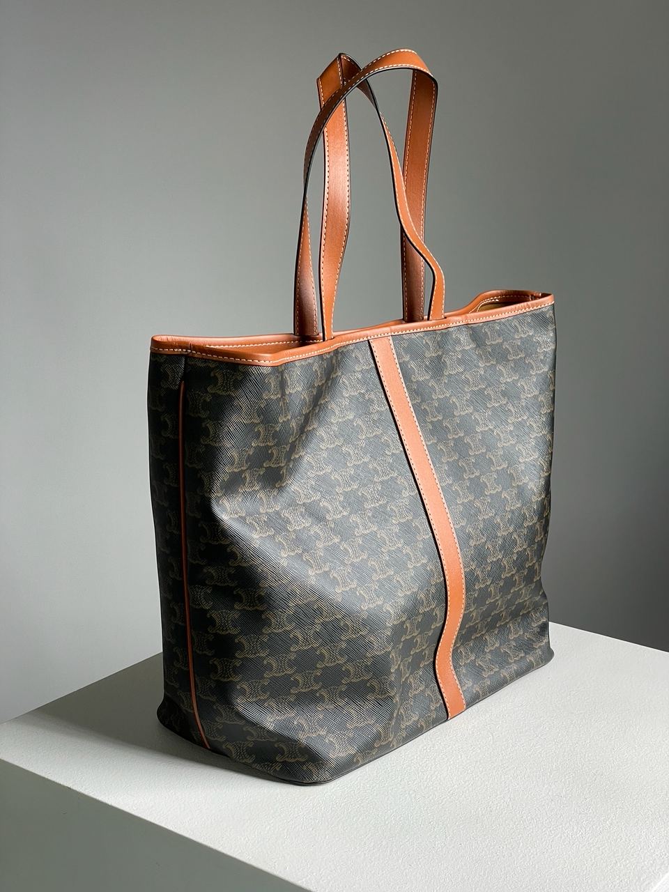 Celine Medium Cabas In Triomphe Canvas Tan - 11