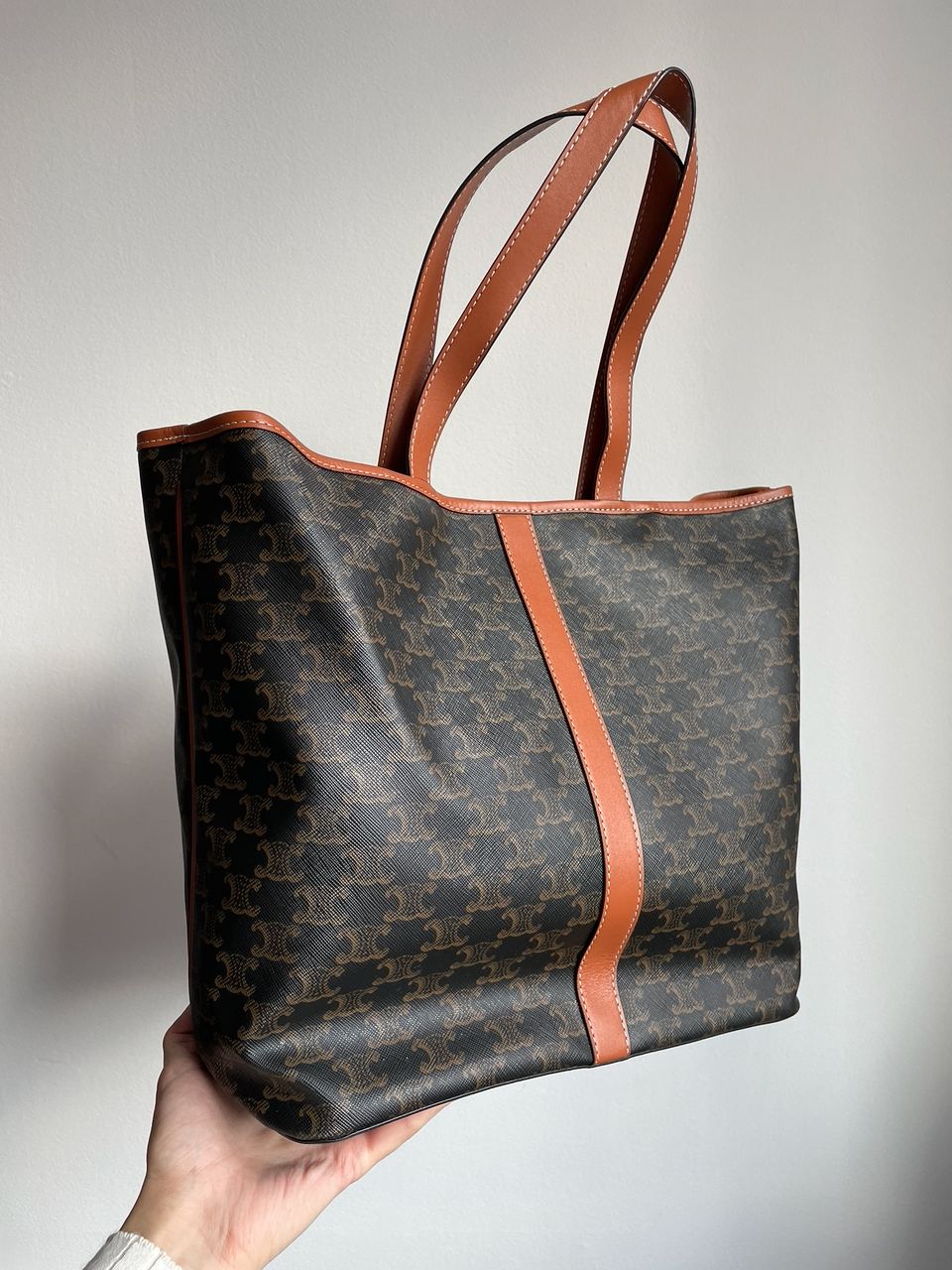 Celine Medium Cabas In Triomphe Canvas Tan - 12