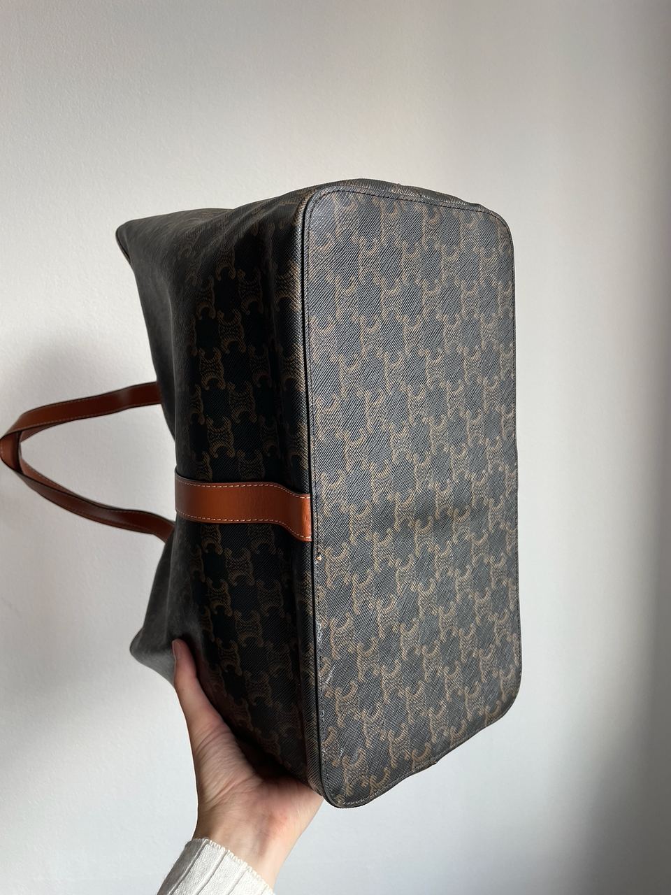 Celine Medium Cabas In Triomphe Canvas Tan - 14