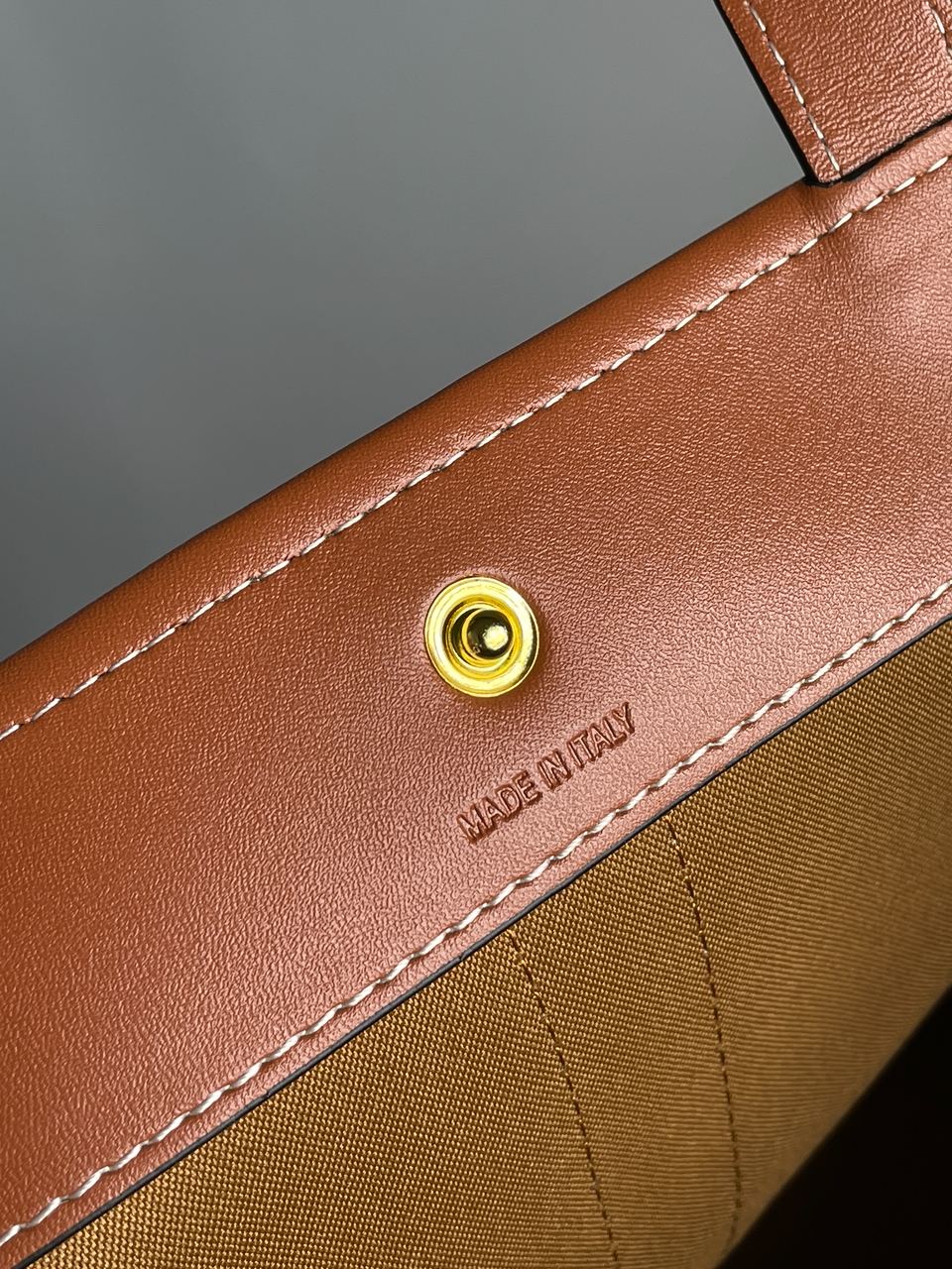 Celine Medium Cabas In Triomphe Canvas Tan - 26