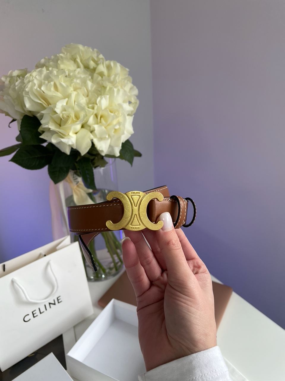 Celine Medium Triomphe Belt In Taurillon Leather Brown - 2