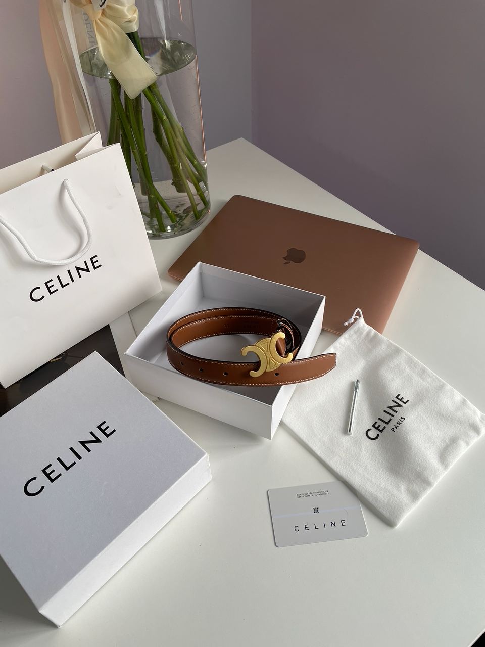 Celine Medium Triomphe Belt In Taurillon Leather Brown - 6