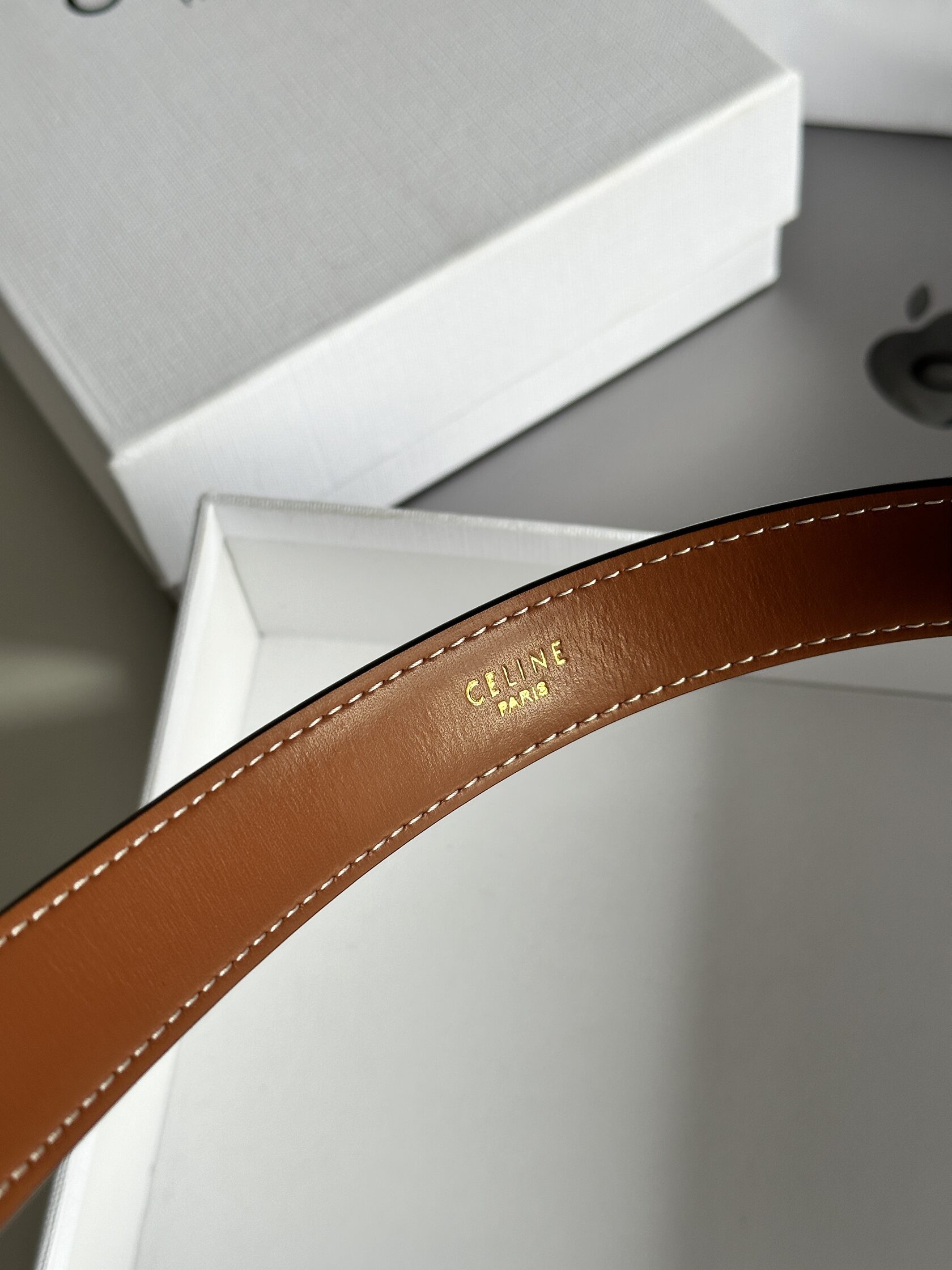 Celine Medium Triomphe Belt In Triomphe Canvas And Calfskin White - 8