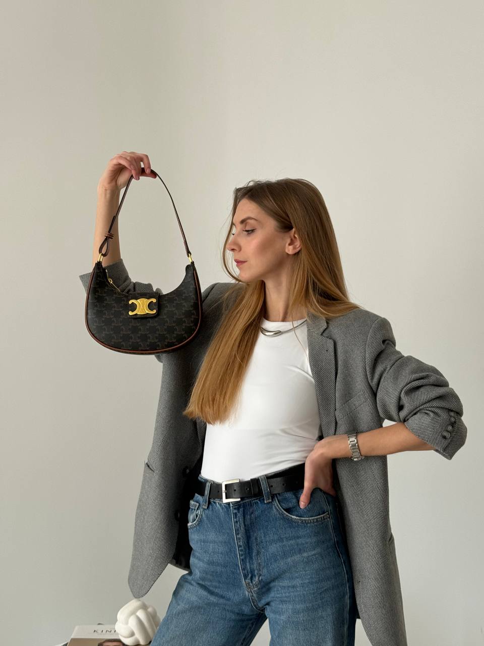 Celine Small Triomphe Besace Bag in Triomphe Canvas and Calfskin - 3