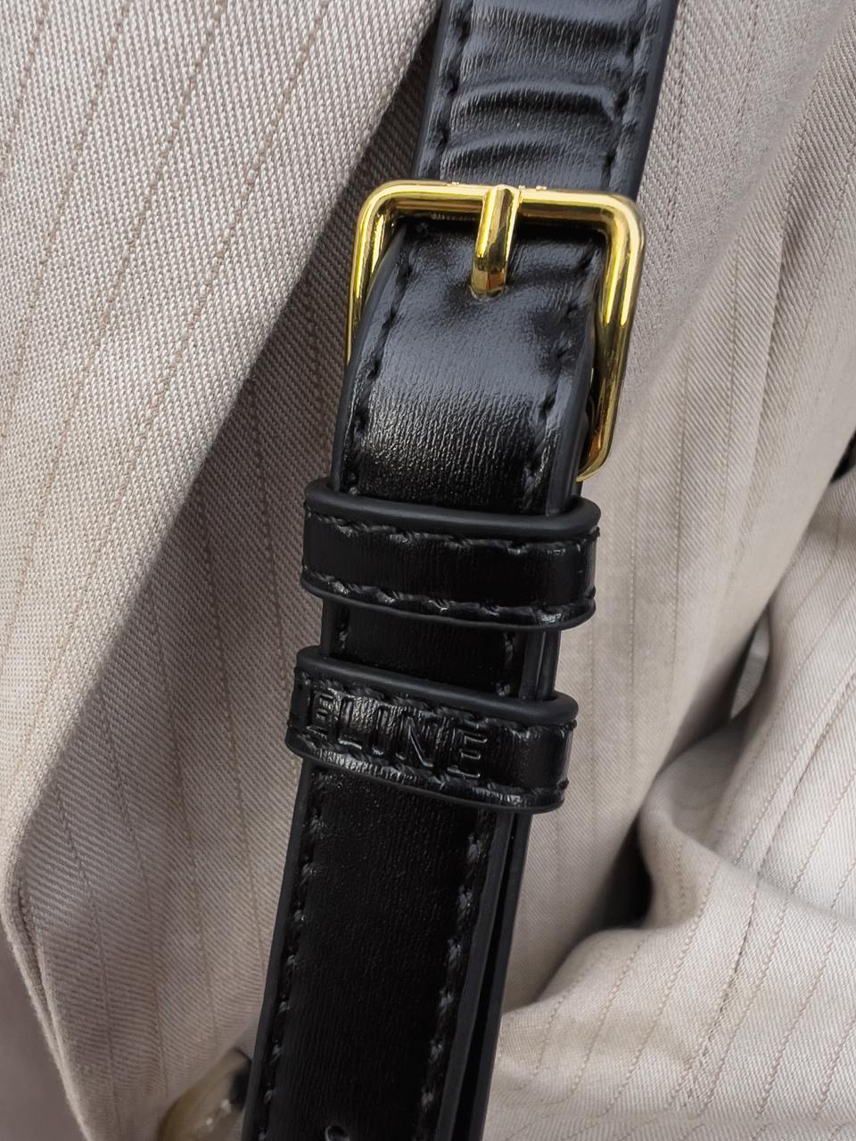 Celine Teen Triomphe Bag Black in Shiny Calfskin - 16