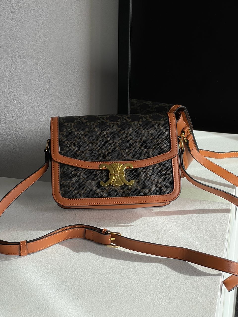 Celine Teen Triomphe Bag in Triomphe Canvas And Calfskin Tan - 5