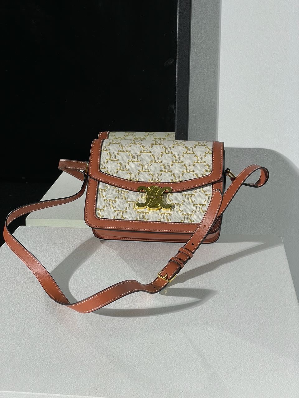 Celine The Triomphe Bag Canvas and Calfskin White - 3