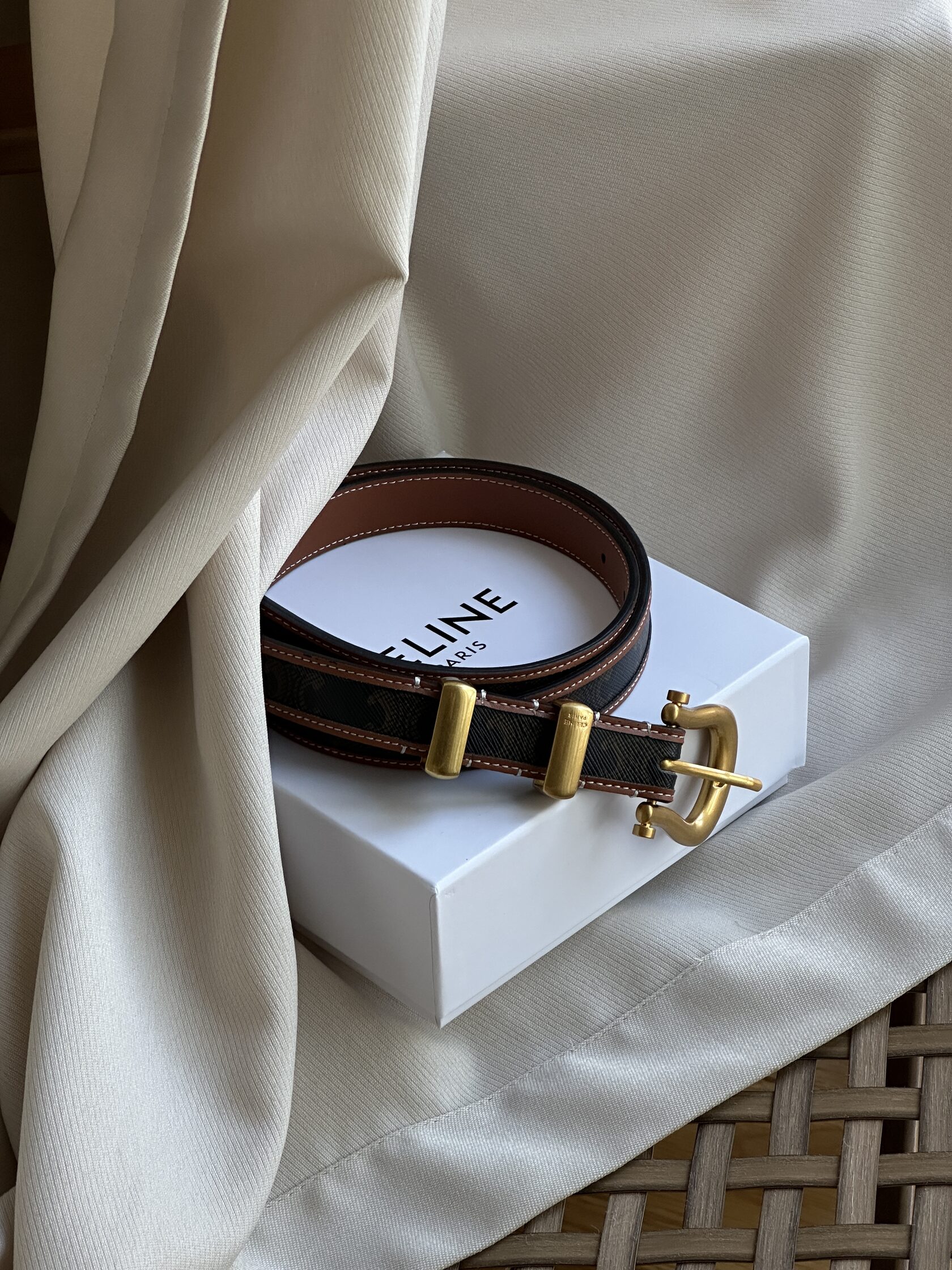 Celine Western Belt in Triomphe Canvas and Calfskin / Gold - 11