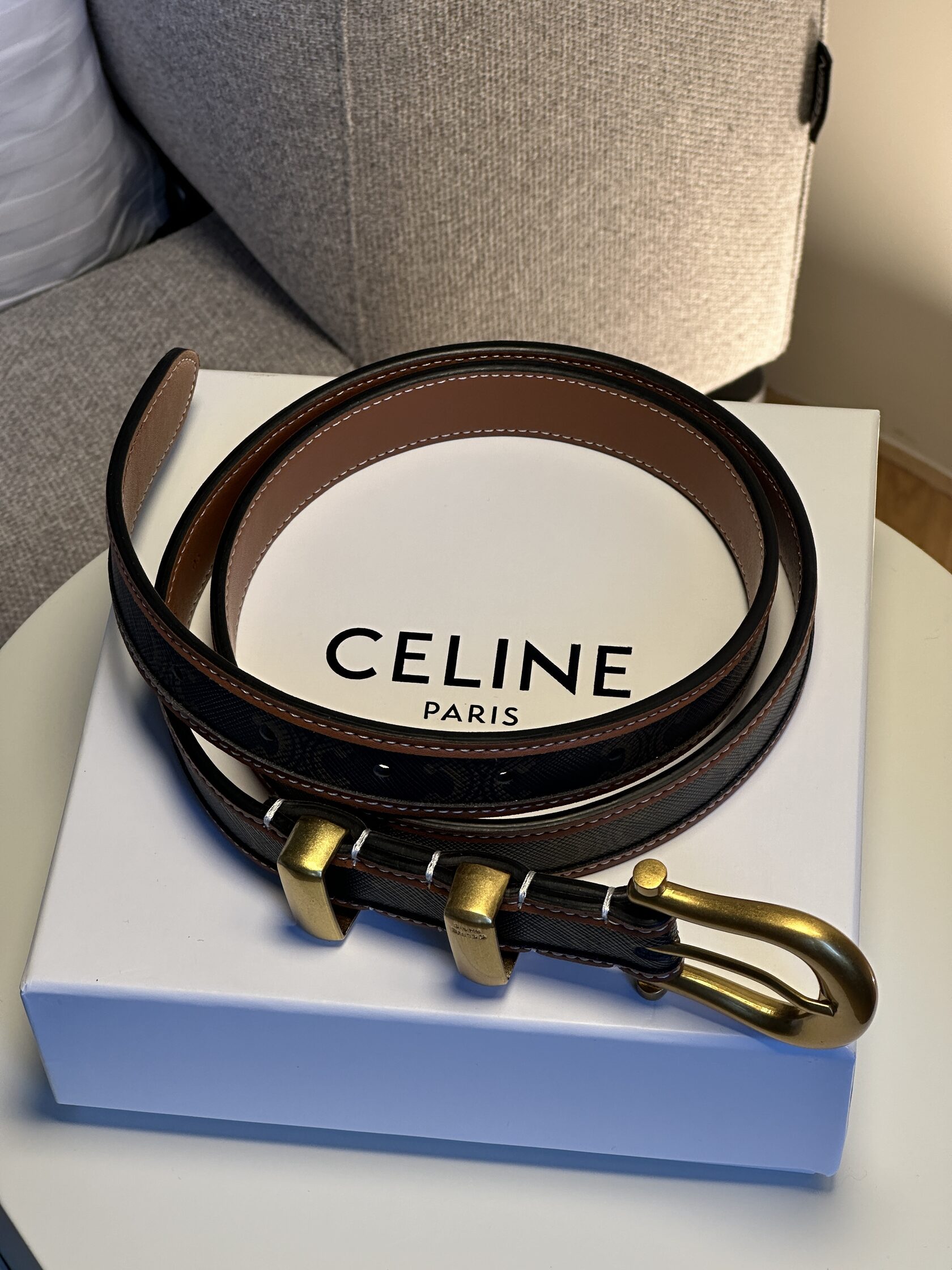 Celine Western Belt in Triomphe Canvas and Calfskin / Gold - 12