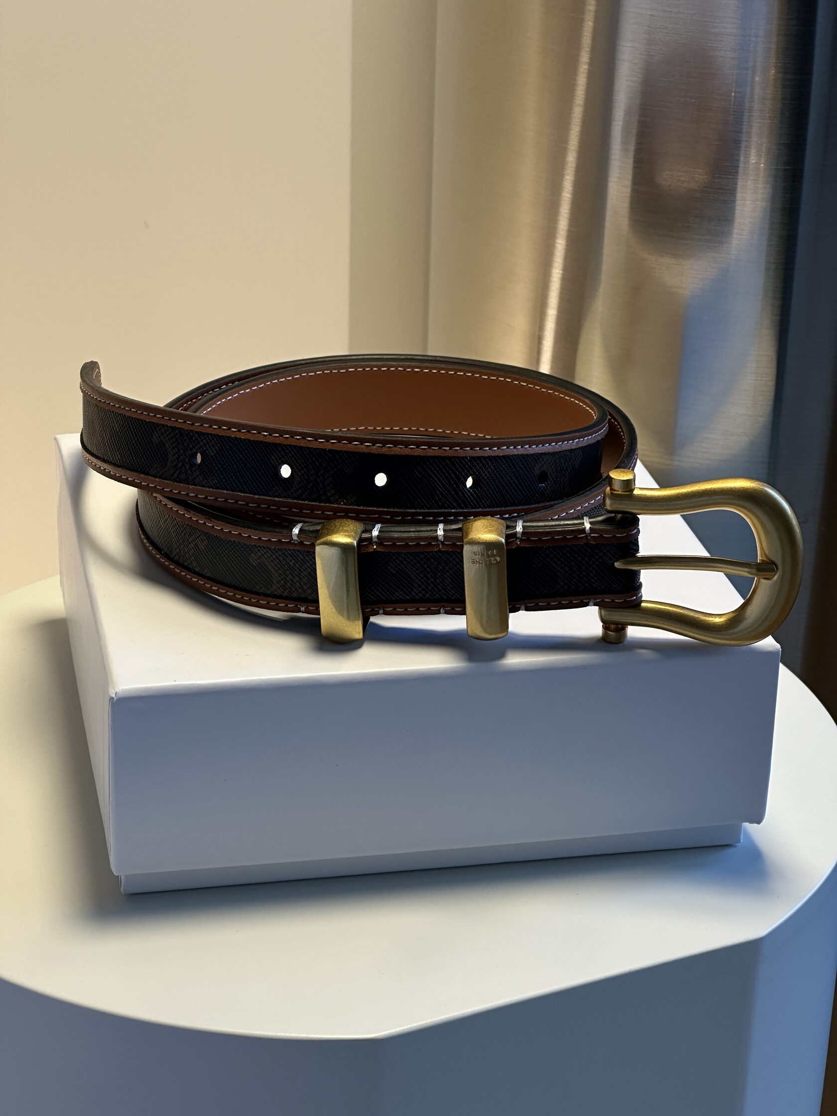 Celine Western Belt in Triomphe Canvas and Calfskin / Gold - 13
