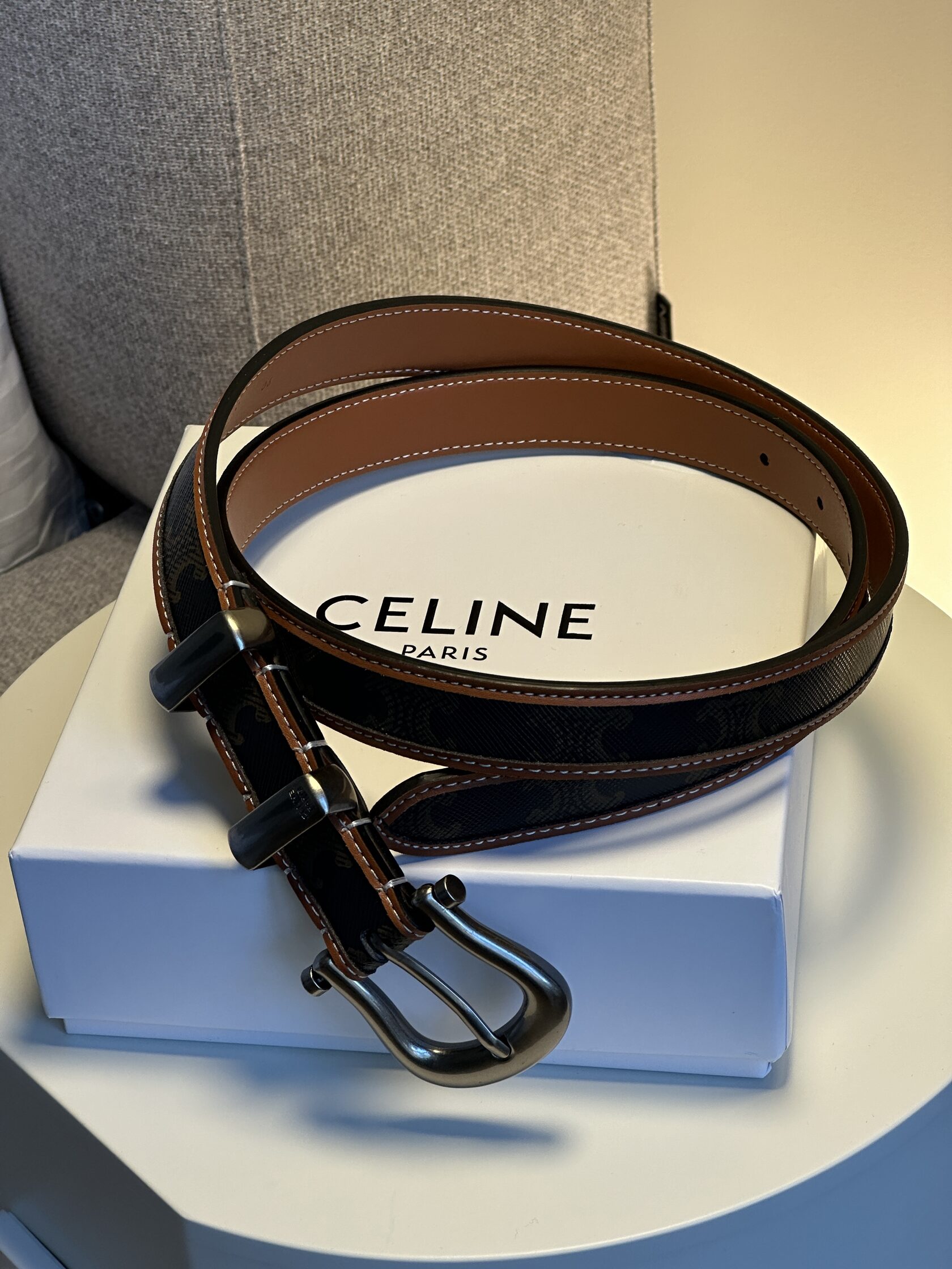 Celine Western Belt in Triomphe Canvas and Calfskin / Silver - 10