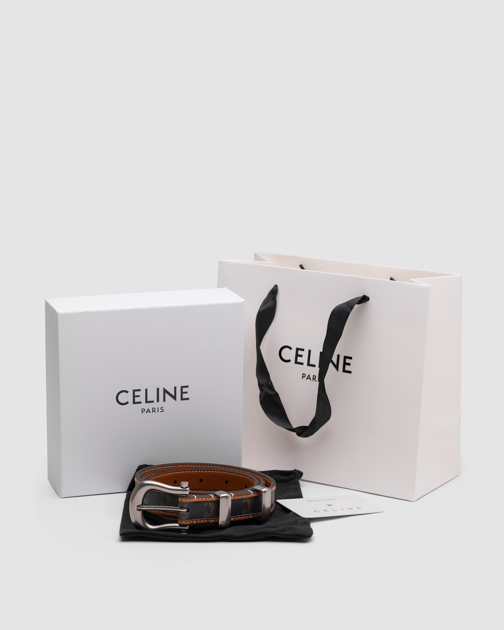 Celine Western Belt in Triomphe Canvas and Calfskin / Silver - 2