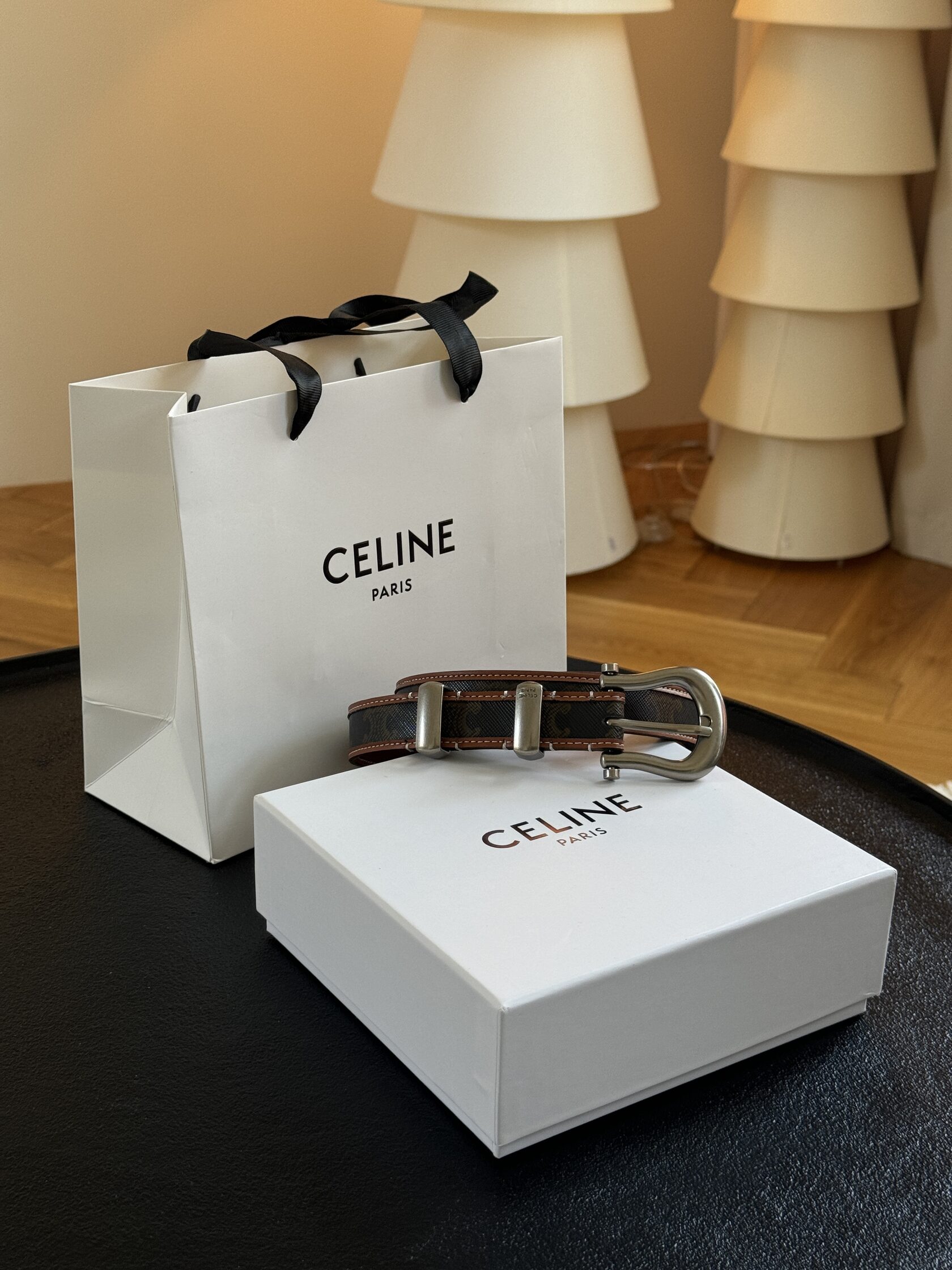 Celine Western Belt in Triomphe Canvas and Calfskin / Silver - 4
