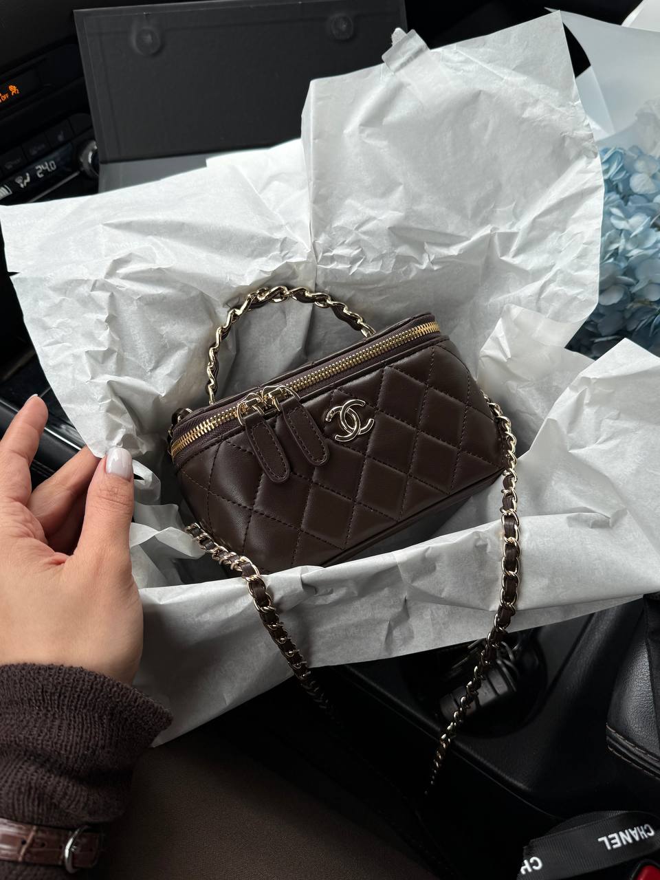 Chanel Classic Brown Lambskin Pearl Crush Vanity Bag Gold - 2