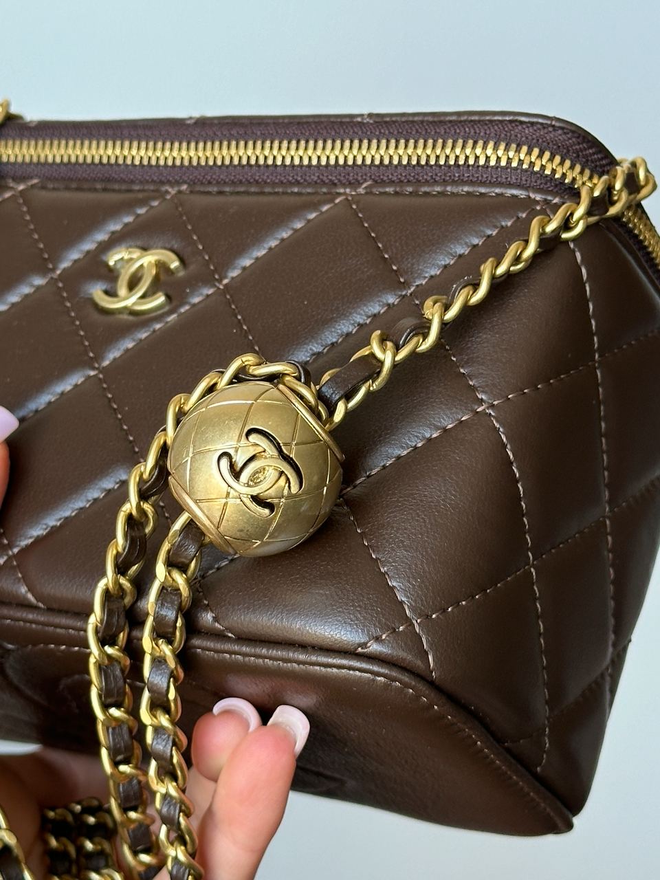 Chanel Classic Brown Lambskin Pearl Crush Vanity Bag Gold - 11
