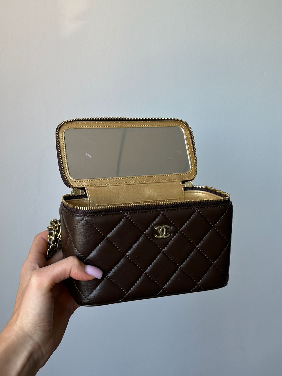 Chanel Classic Brown Lambskin Pearl Crush Vanity Bag Gold - 13