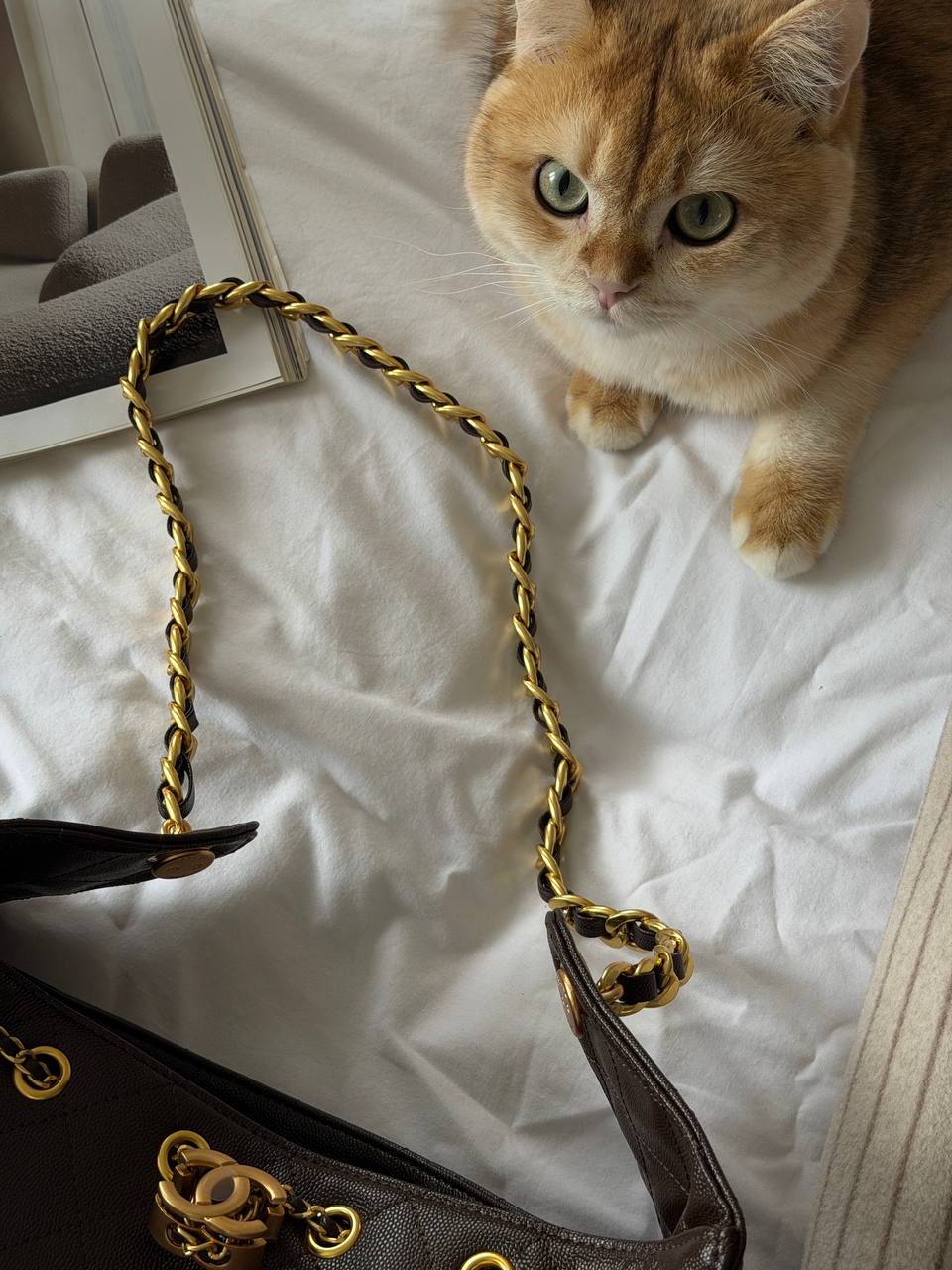 Chanel Handbag in Grained Calfskin Brown/Gold - 13