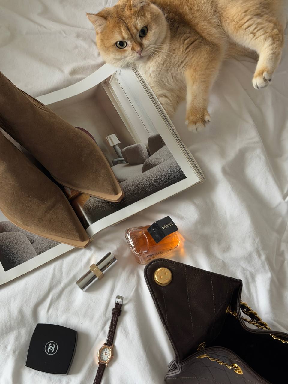 Chanel Handbag in Grained Calfskin Brown/Gold - 14