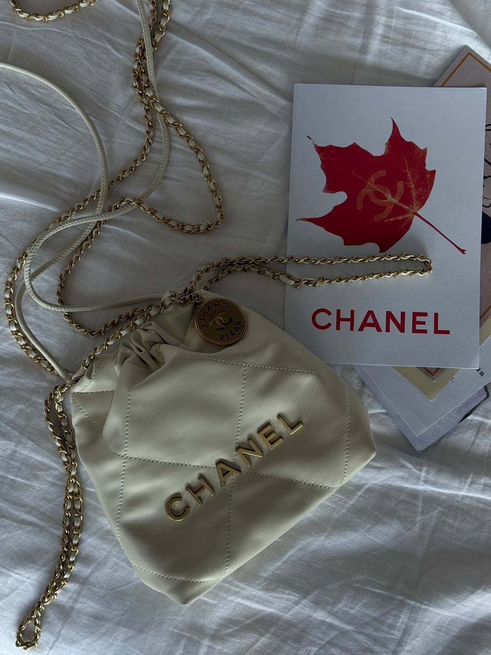Chanel Milk Quilted Calfskin Mini 20 Bag Gold Hardware - 2