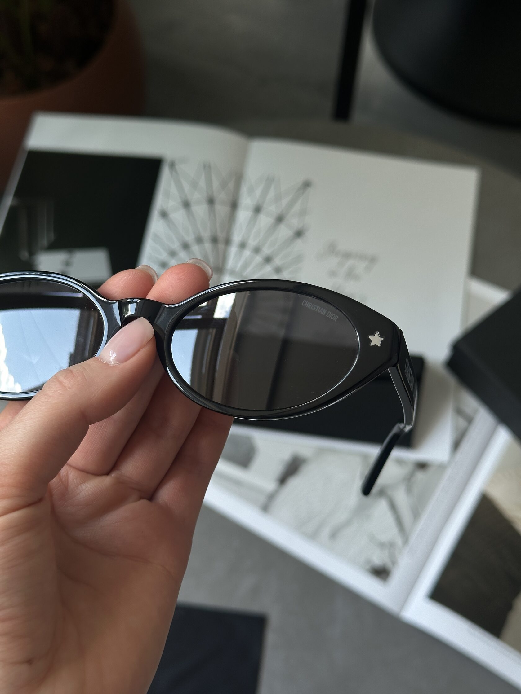 Christian Dior Black/Black Dior Pacific R1F - 8