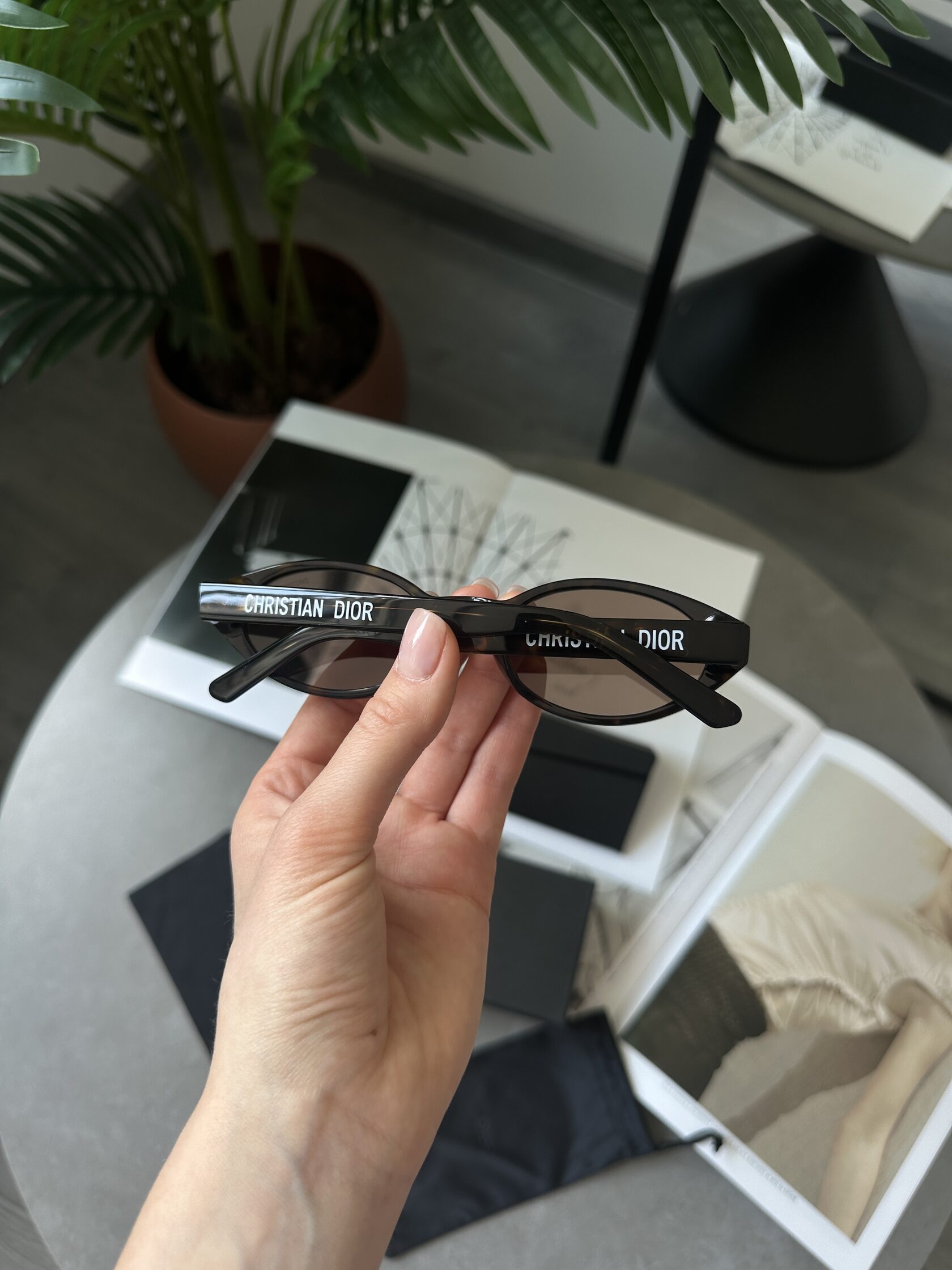 Christian Dior Brown/Leo Dior Pacific R1F - 6