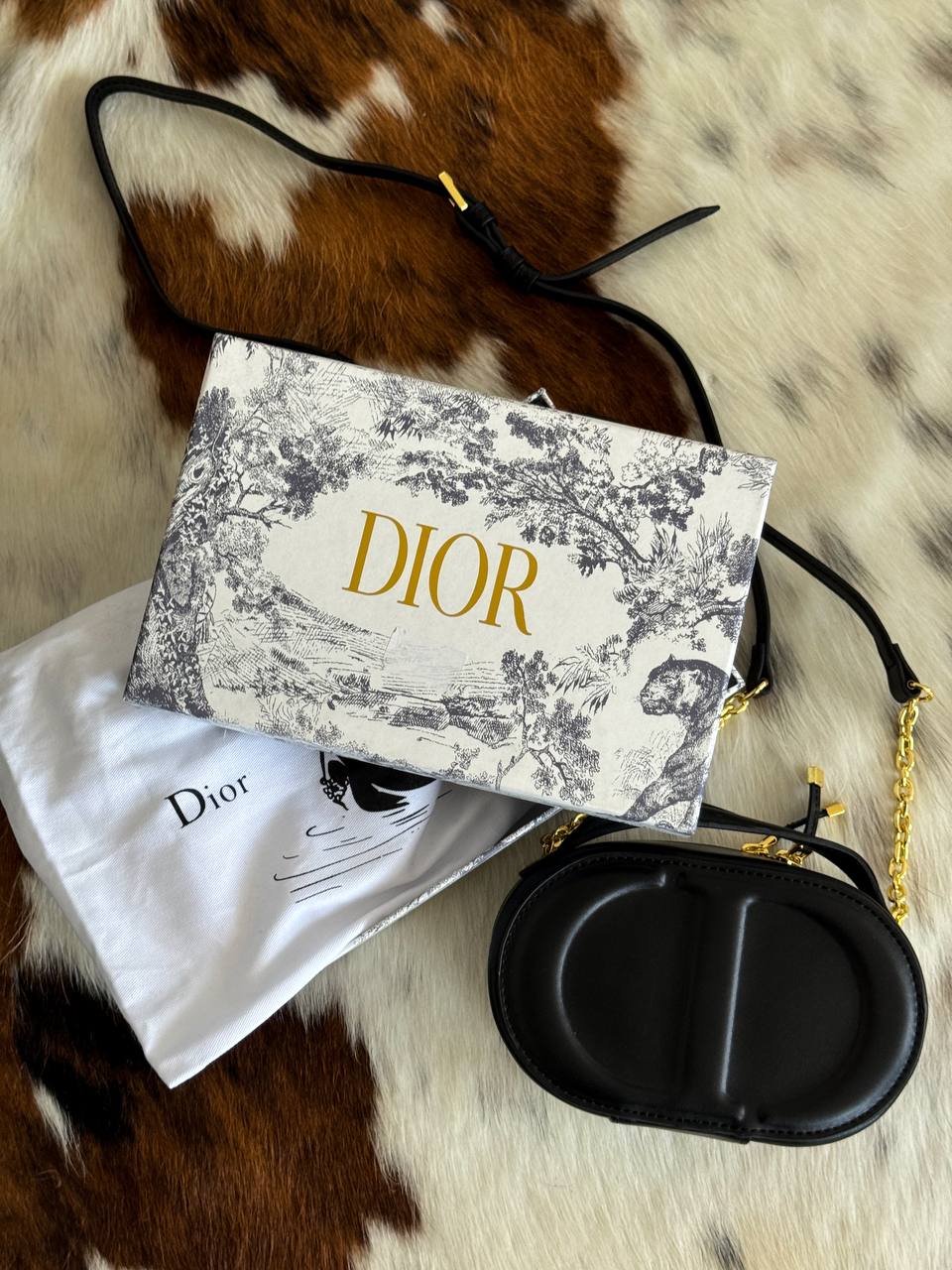 Christian Dior CD Signature Oval Camera Bag in Black - 2