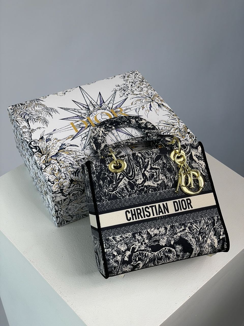 Christian Dior Medium Lady D-Lite Bag Blue - 4