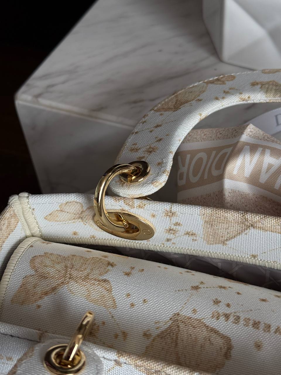 Christian Dior Medium Lady Dior Butterfly Embroidered Canvas Bag in Off-White/Beige - 20