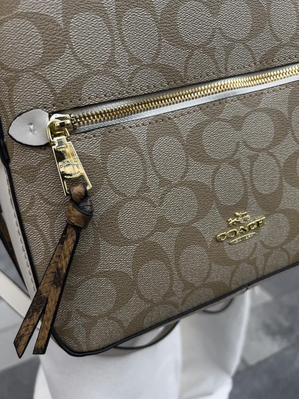 Coach Court Backpack in Signature Canvas - 13