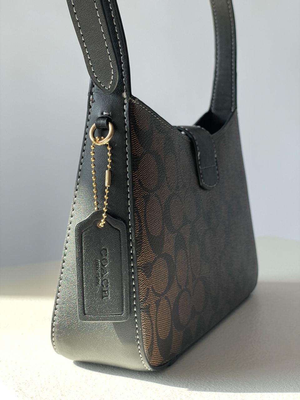 Coach Eliza Shoulder Bag In Signature Canvas - 19