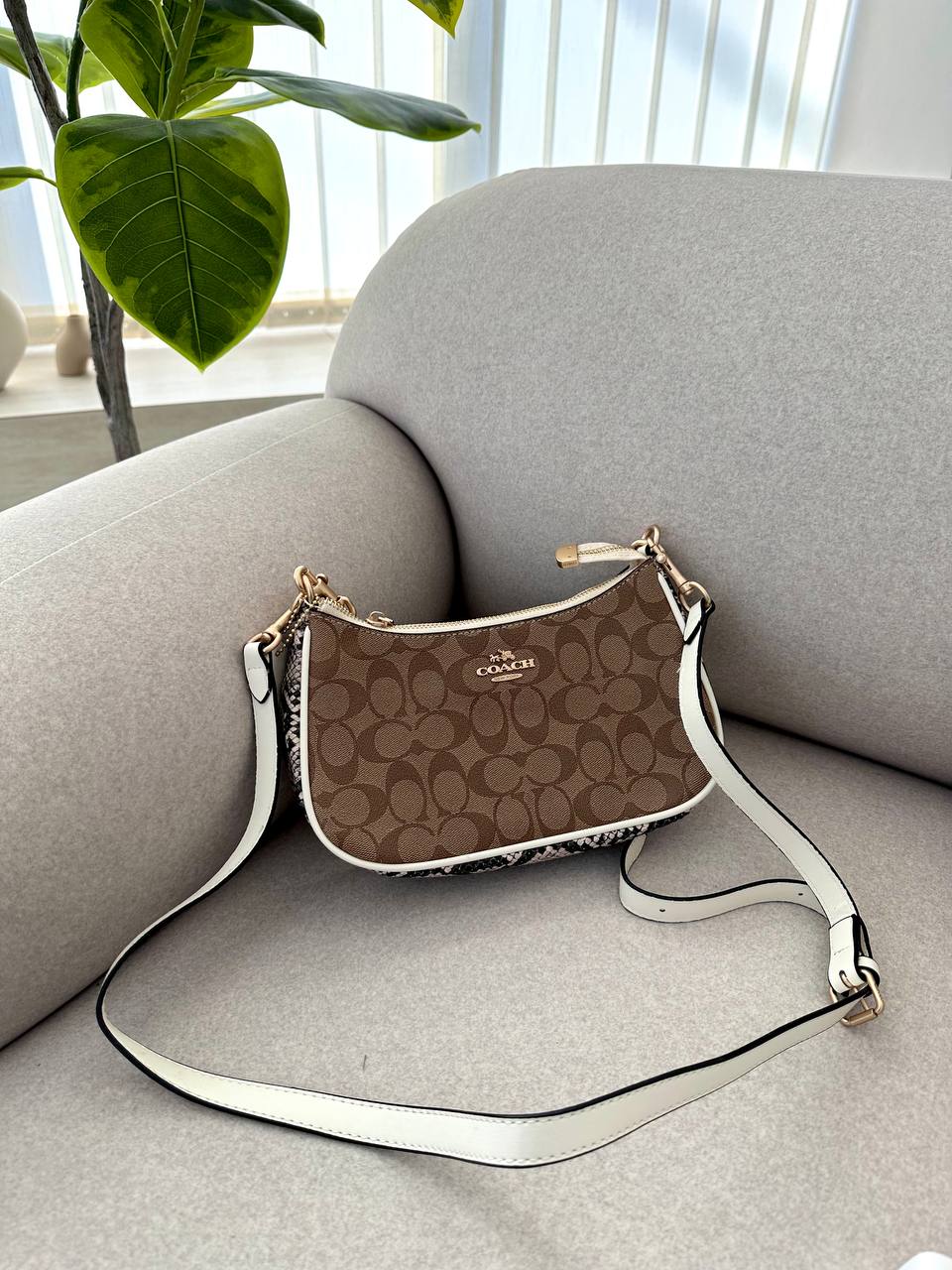 Coach Swinger 20 In Signature Canvas White/Gold - 2