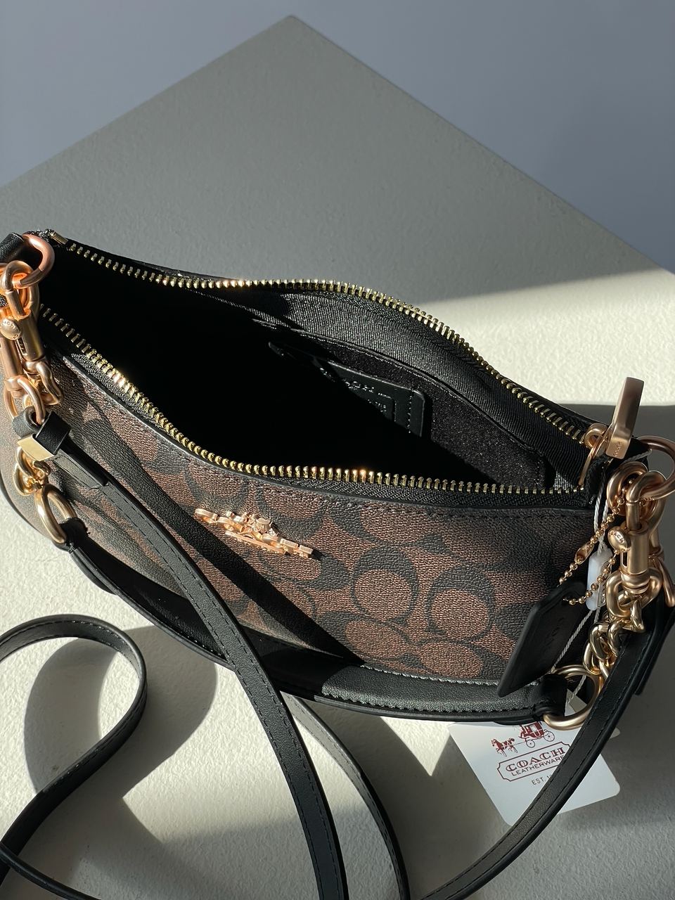 Coach Teri Shoulder Bag In Signature Canvas - 26