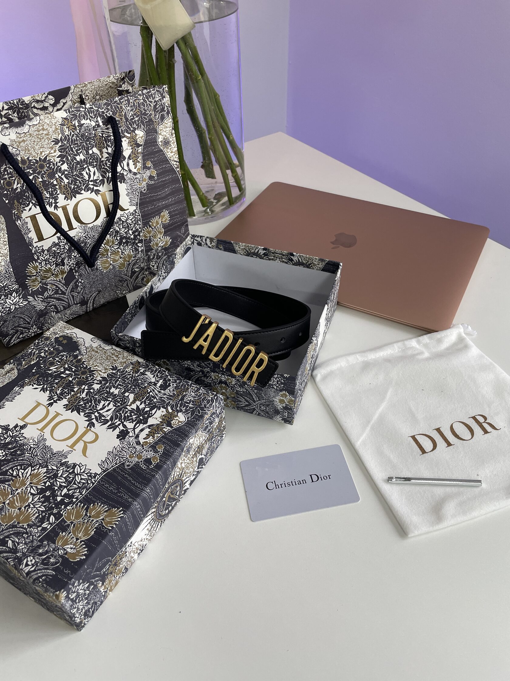 Dior JA-D-Fence Belt Black Smooth Calfskin - 2